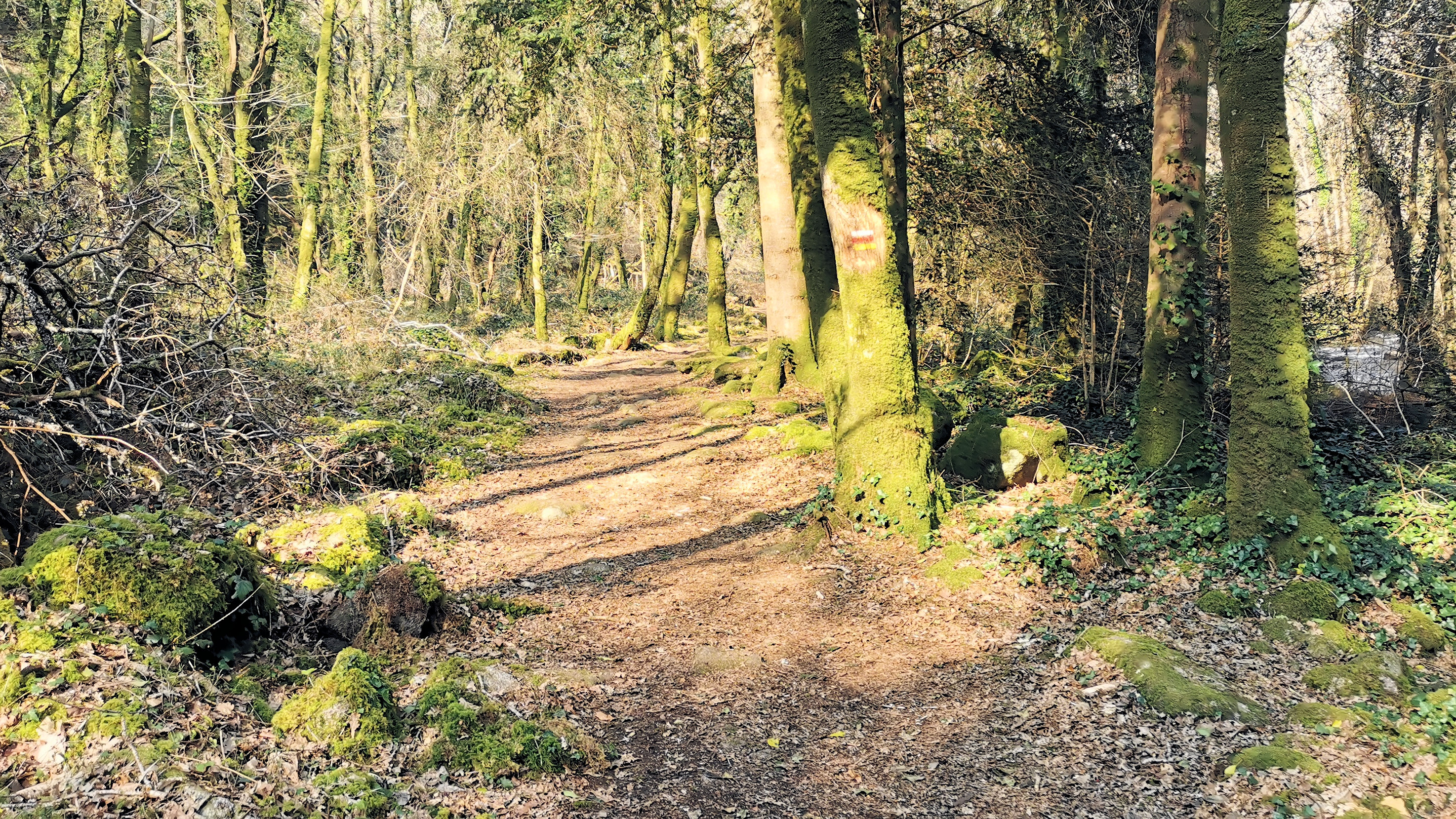 83-IMG_20210307_111434