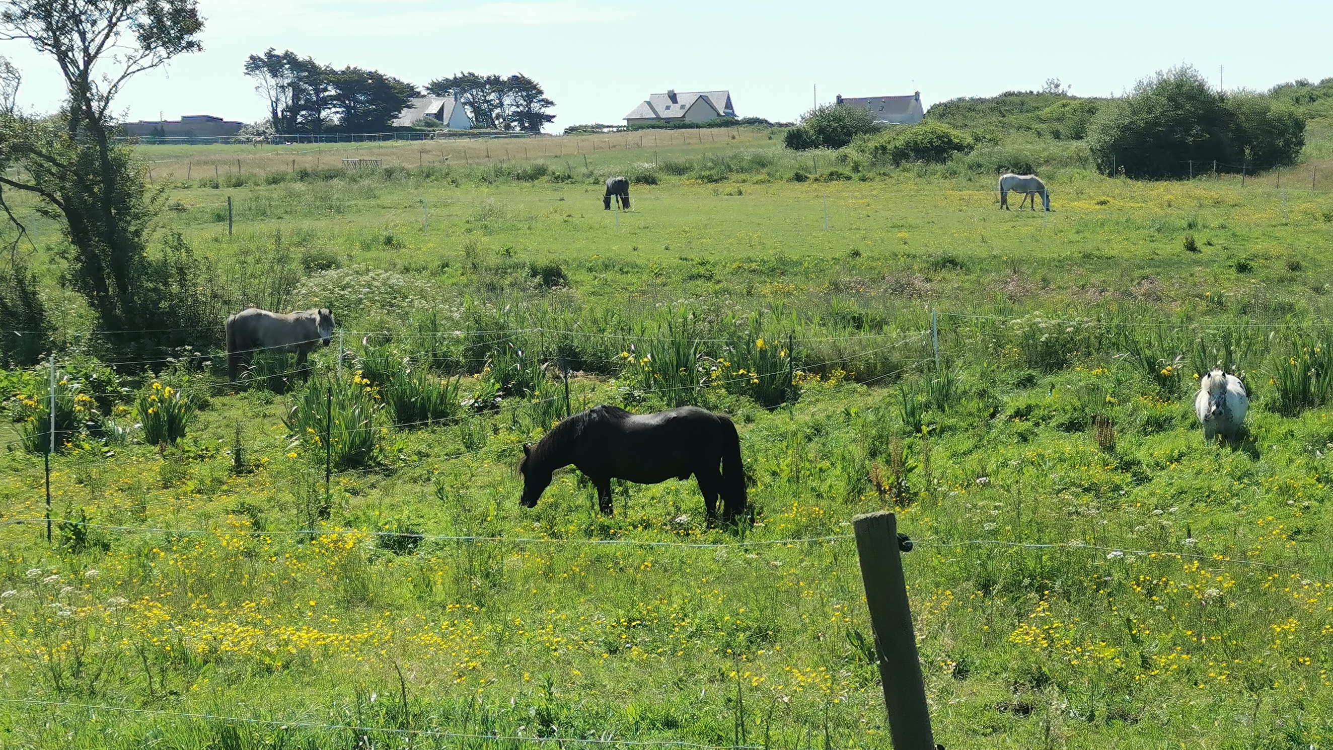 70-IMG_20210530_114722_1