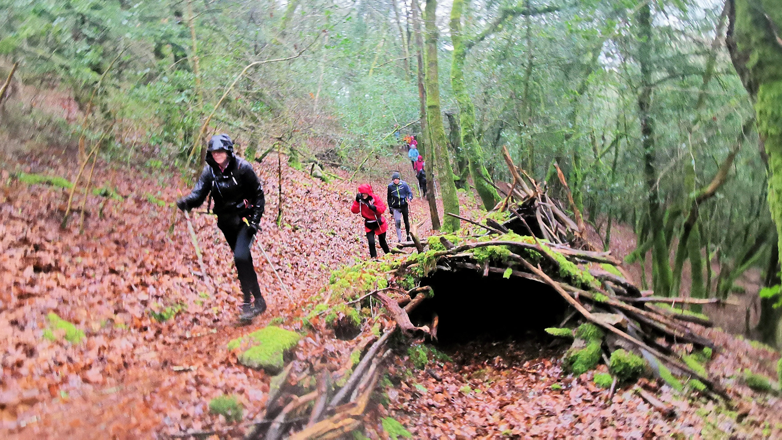 73-IMG_20210121_113931_1