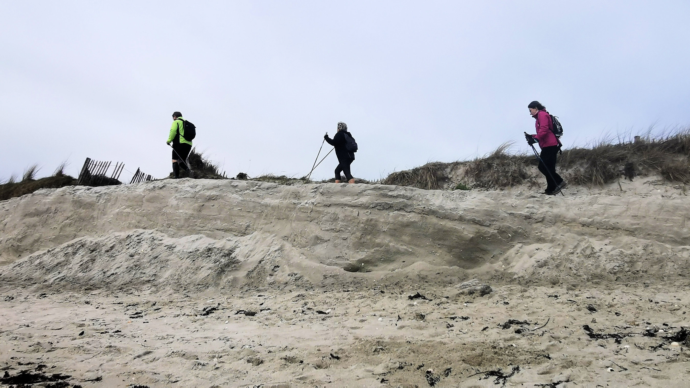 17-IMG_20210118_105452