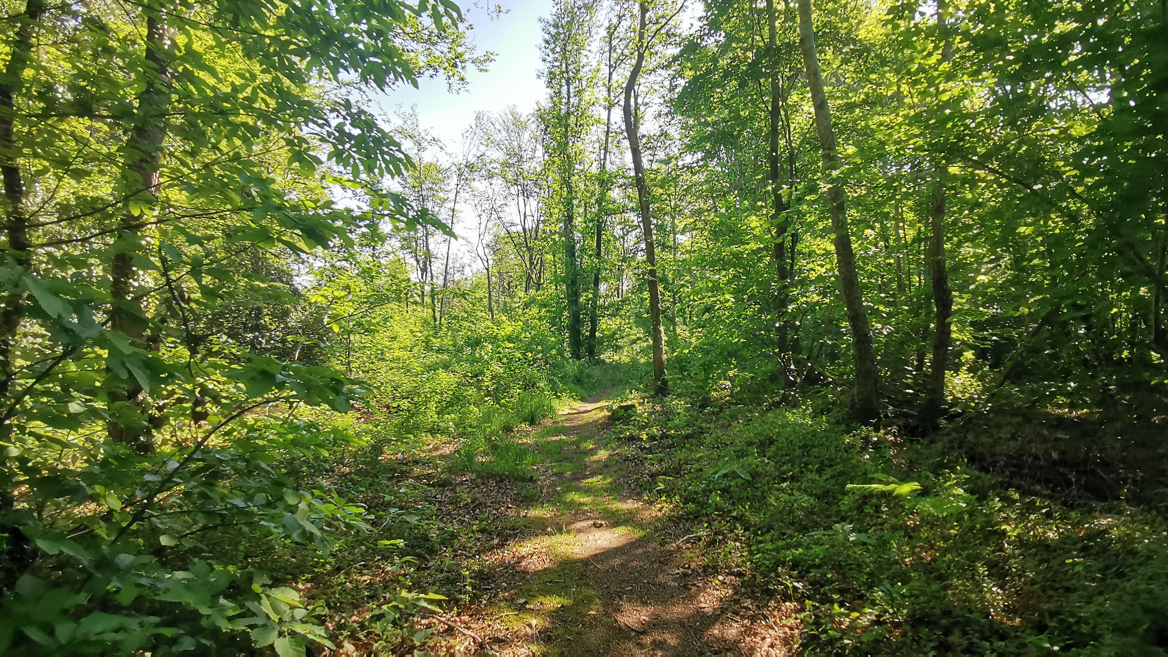 18-IMG_20210531_103558