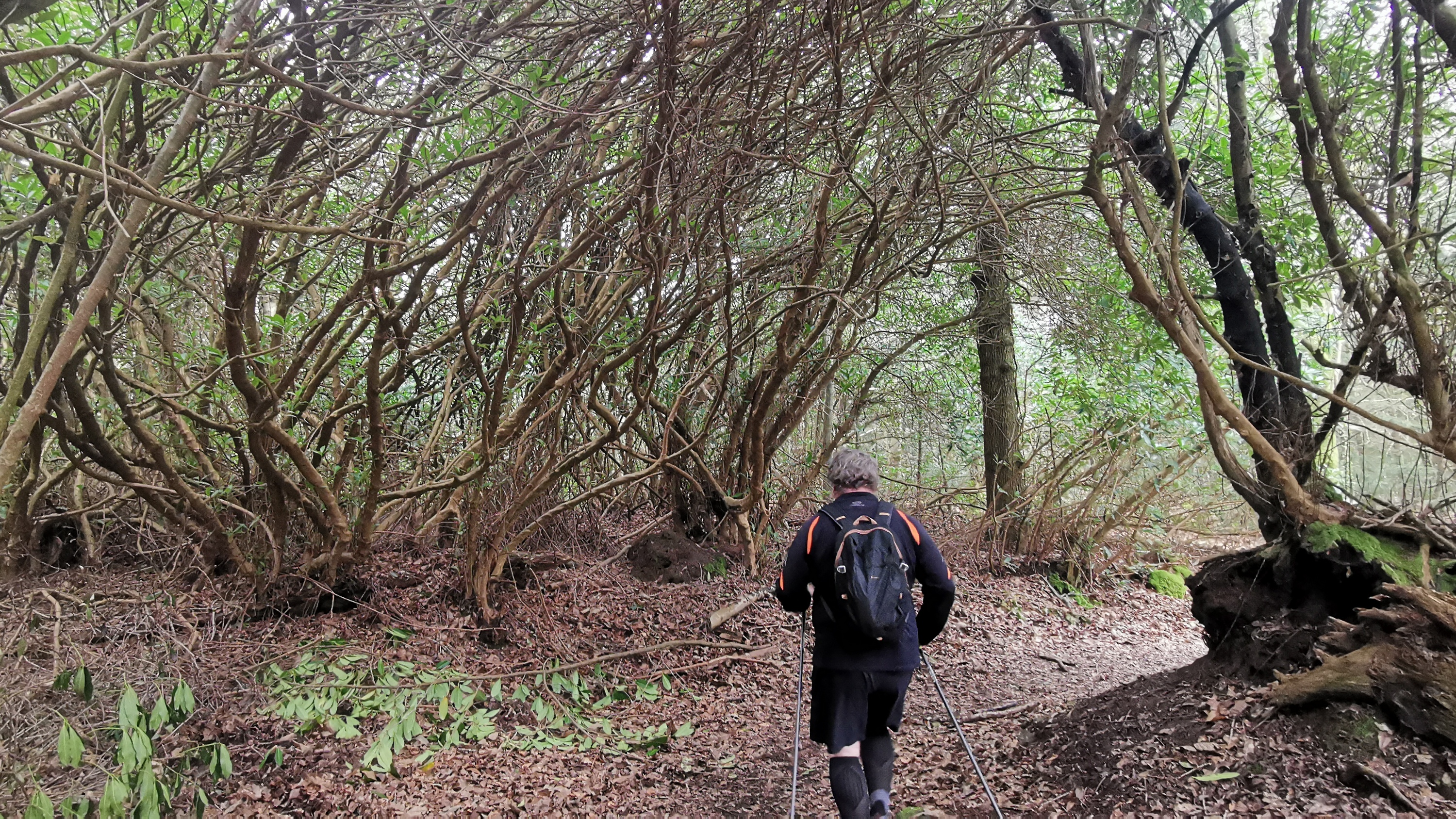 47-IMG_20210304_111206_1