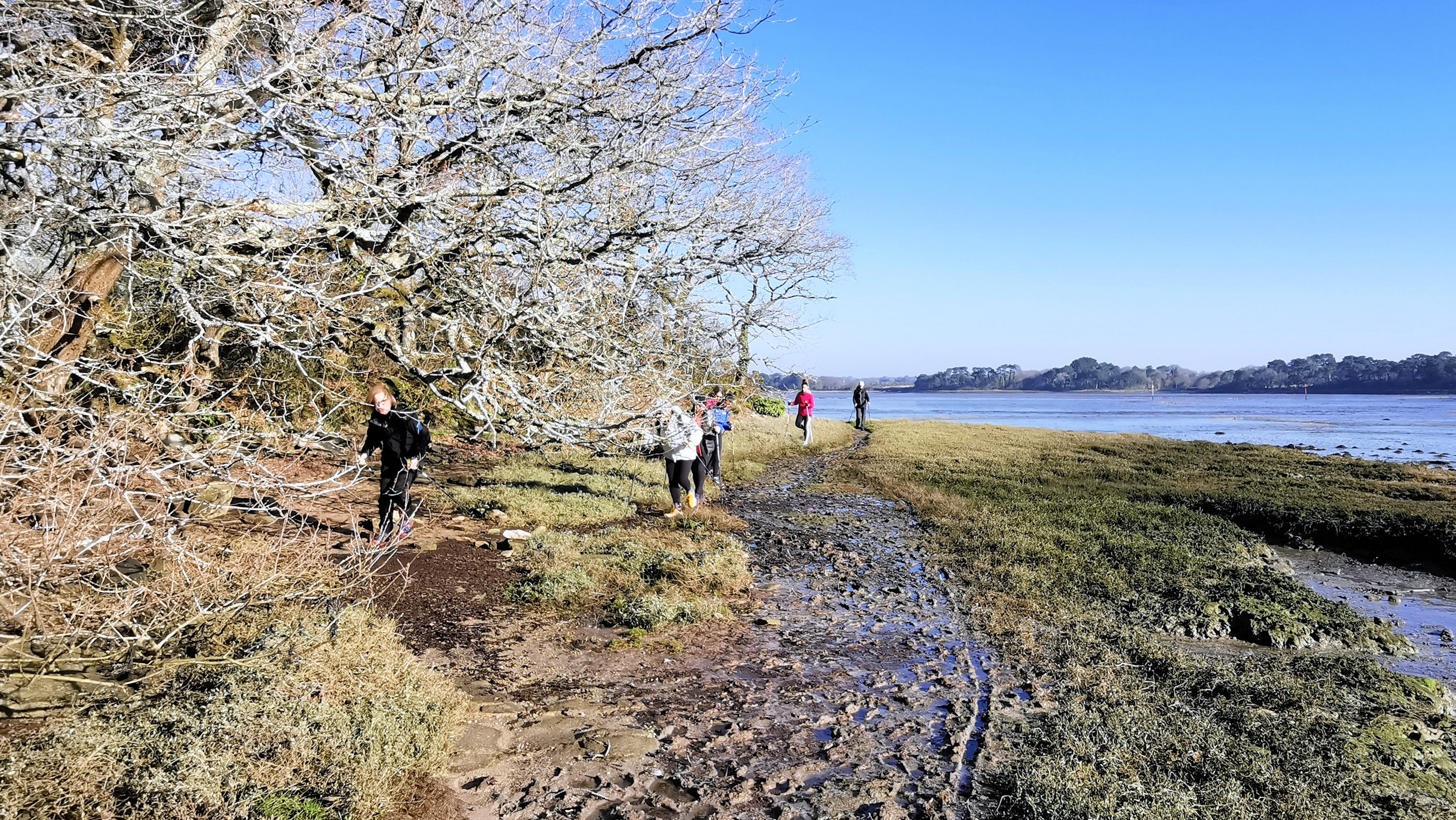 023-IMG_20210228_100710