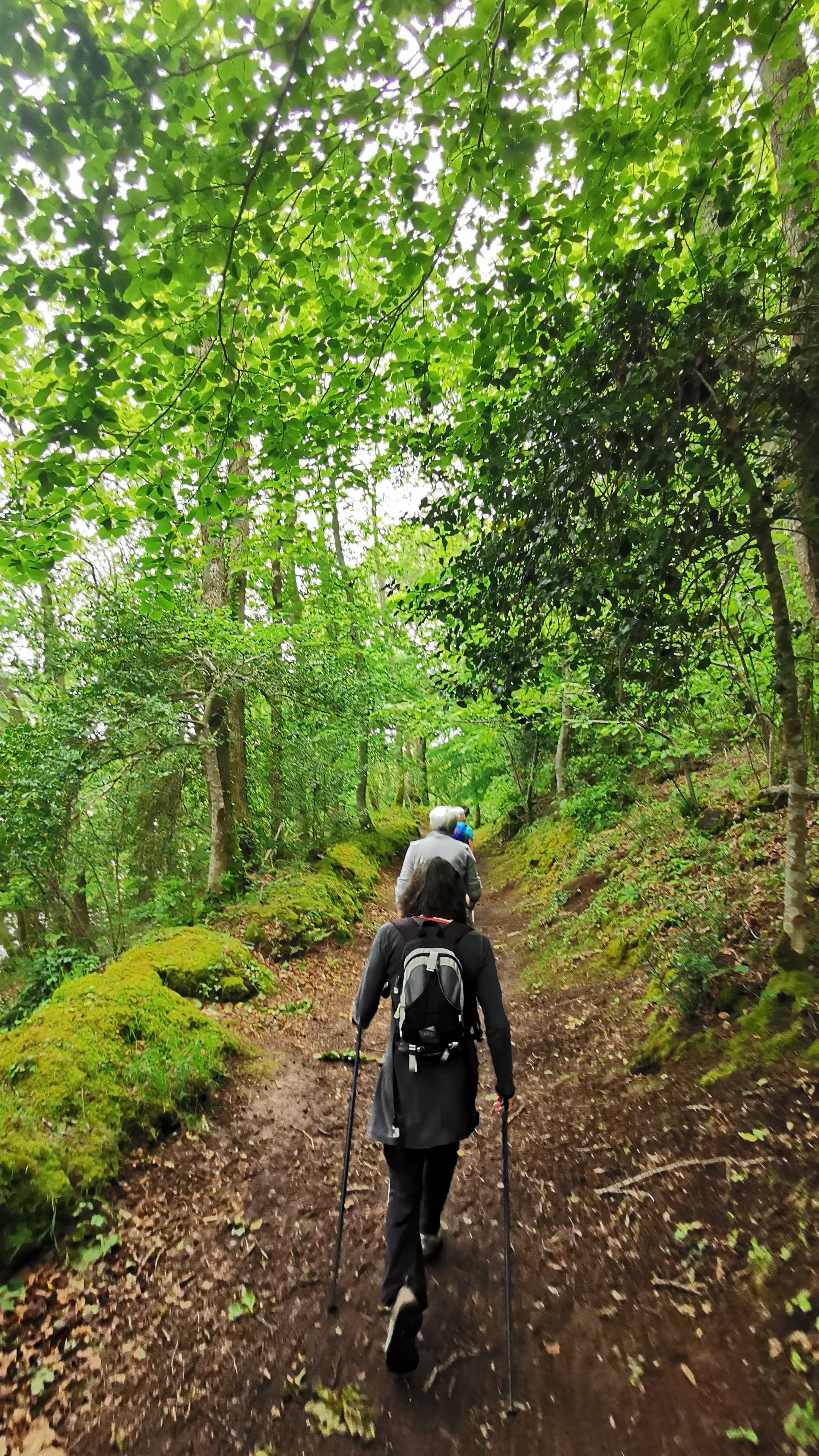 42-IMG_20210527_111558