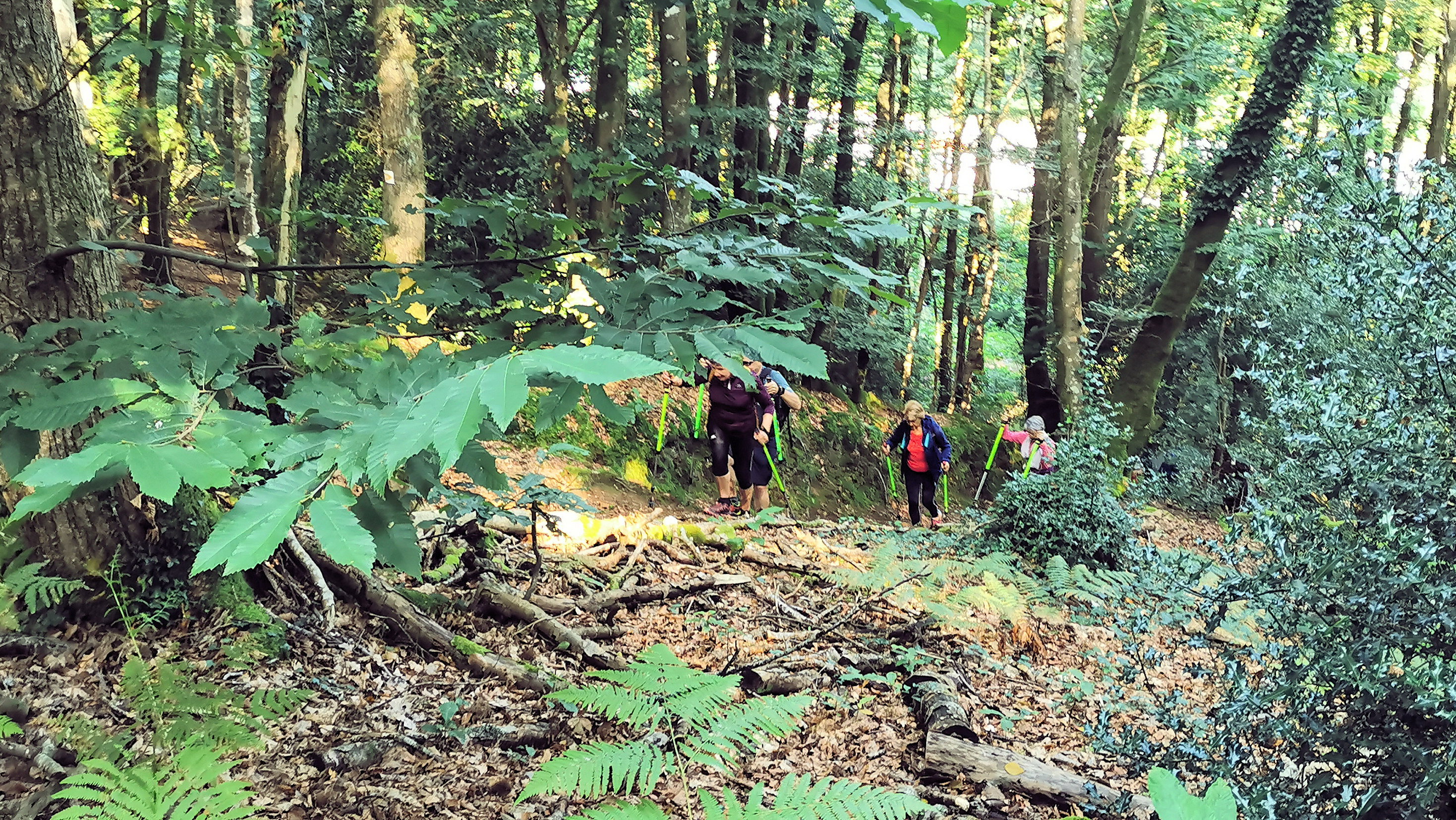 126-IMG_20210823_103332