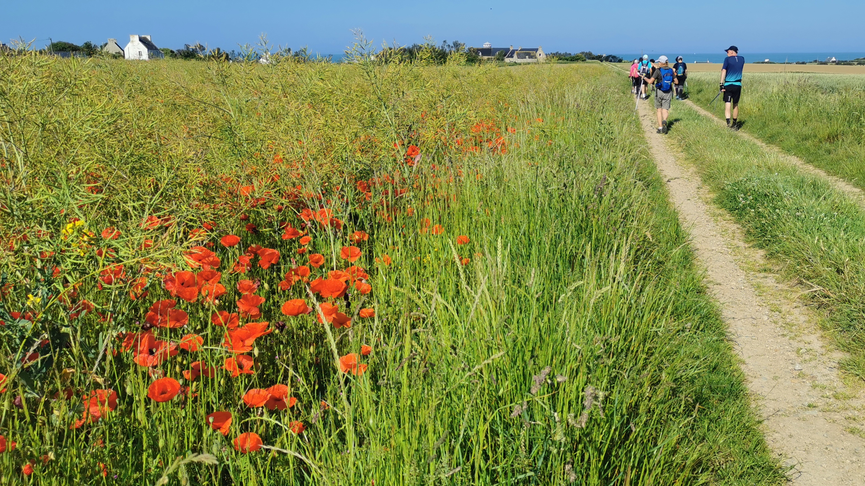 09-IMG_20210530_102021