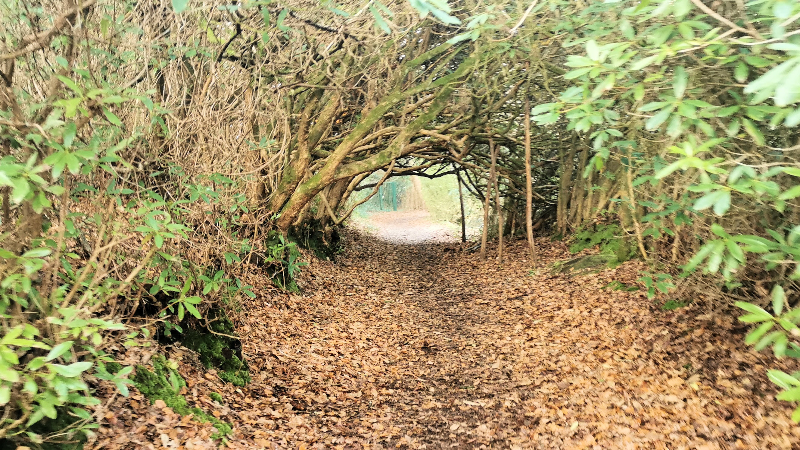 18-IMG_20210107_102933