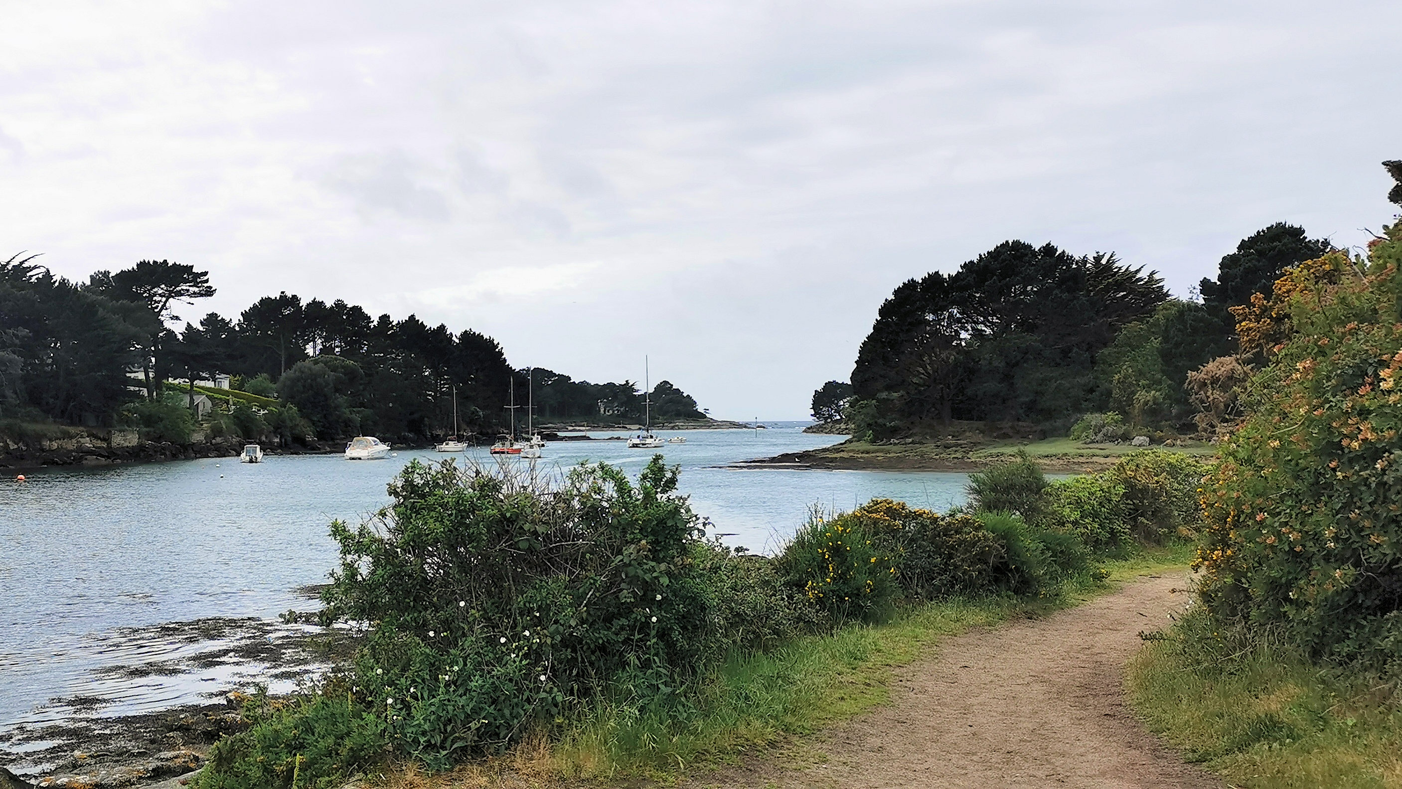 37-IMG_20210520_101229