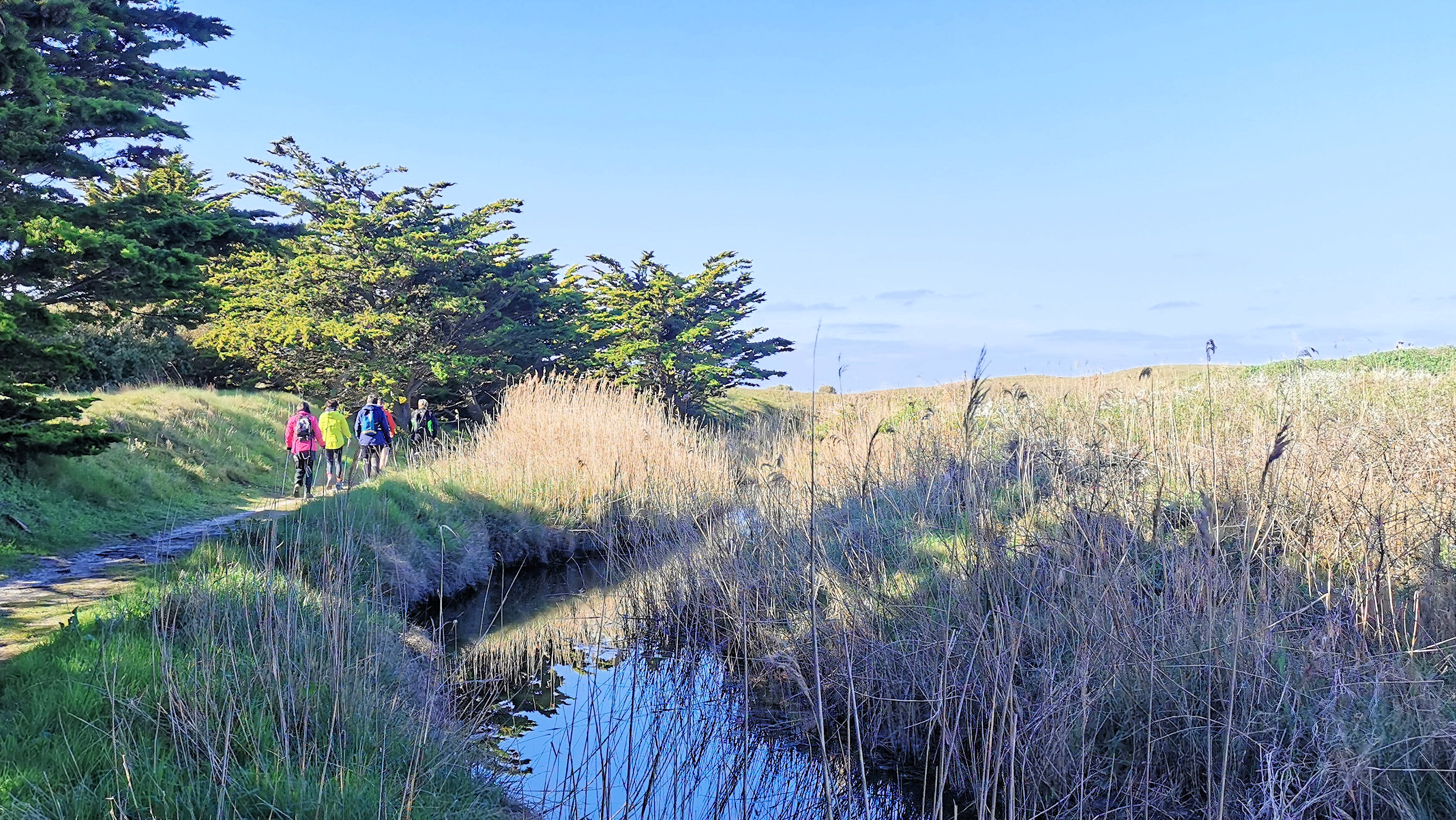 29-IMG_20210403_104855