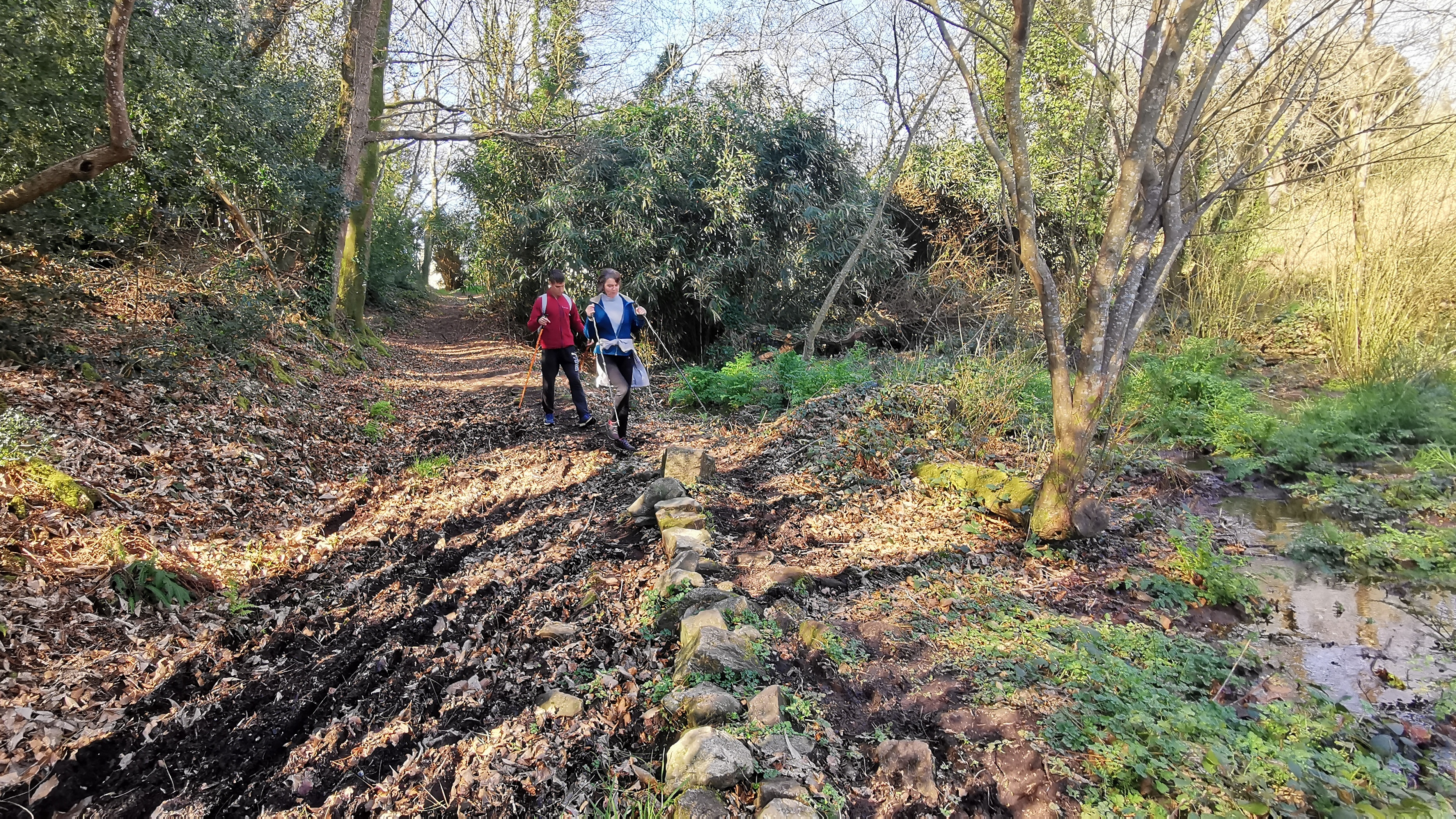 39-IMG_20210320_112630