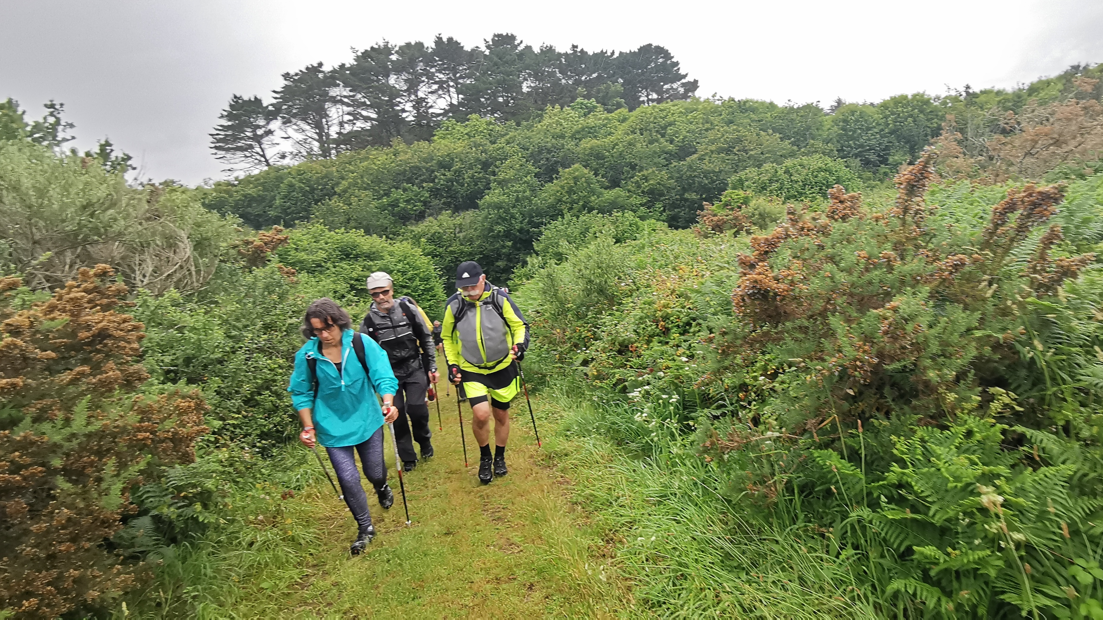 141-IMG_20210620_112643