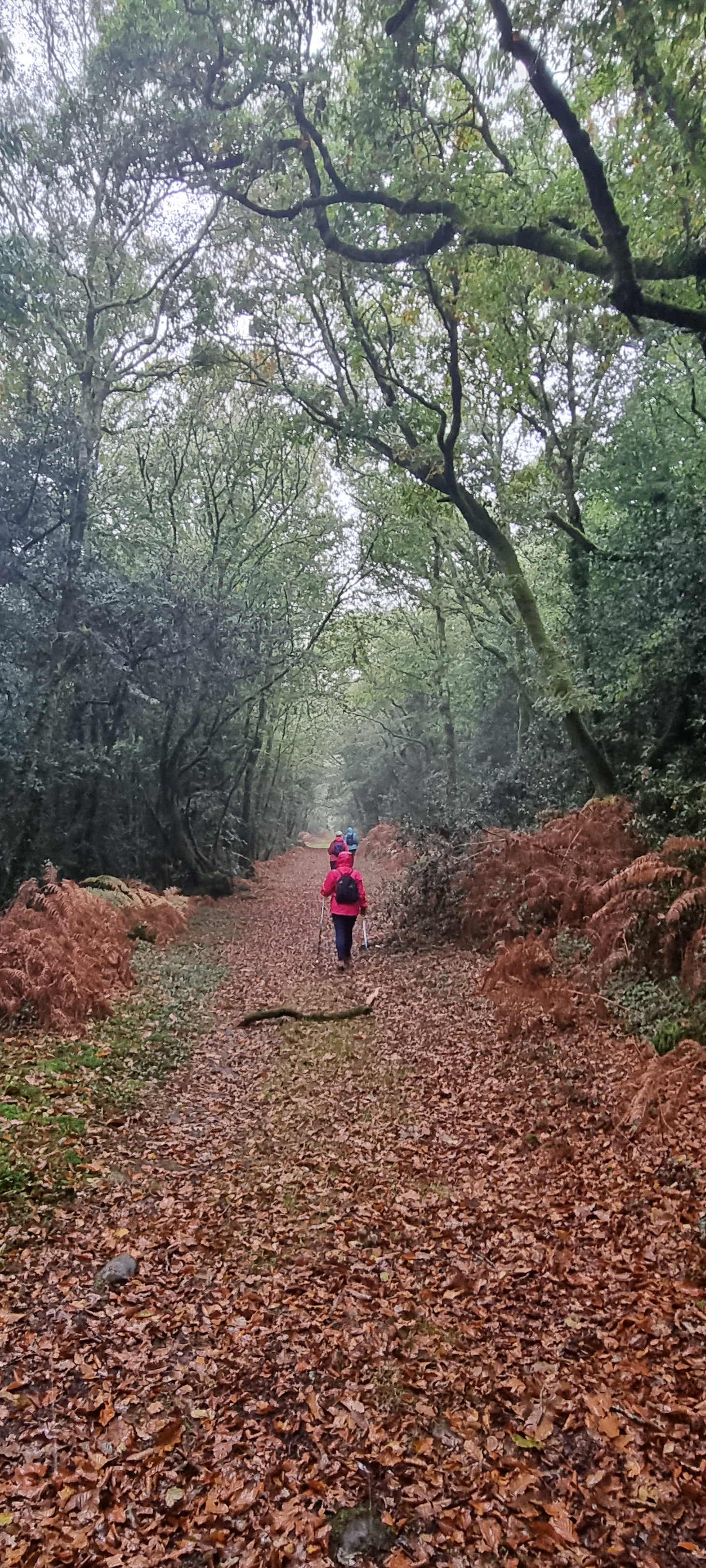 11-20211018_110012(0)