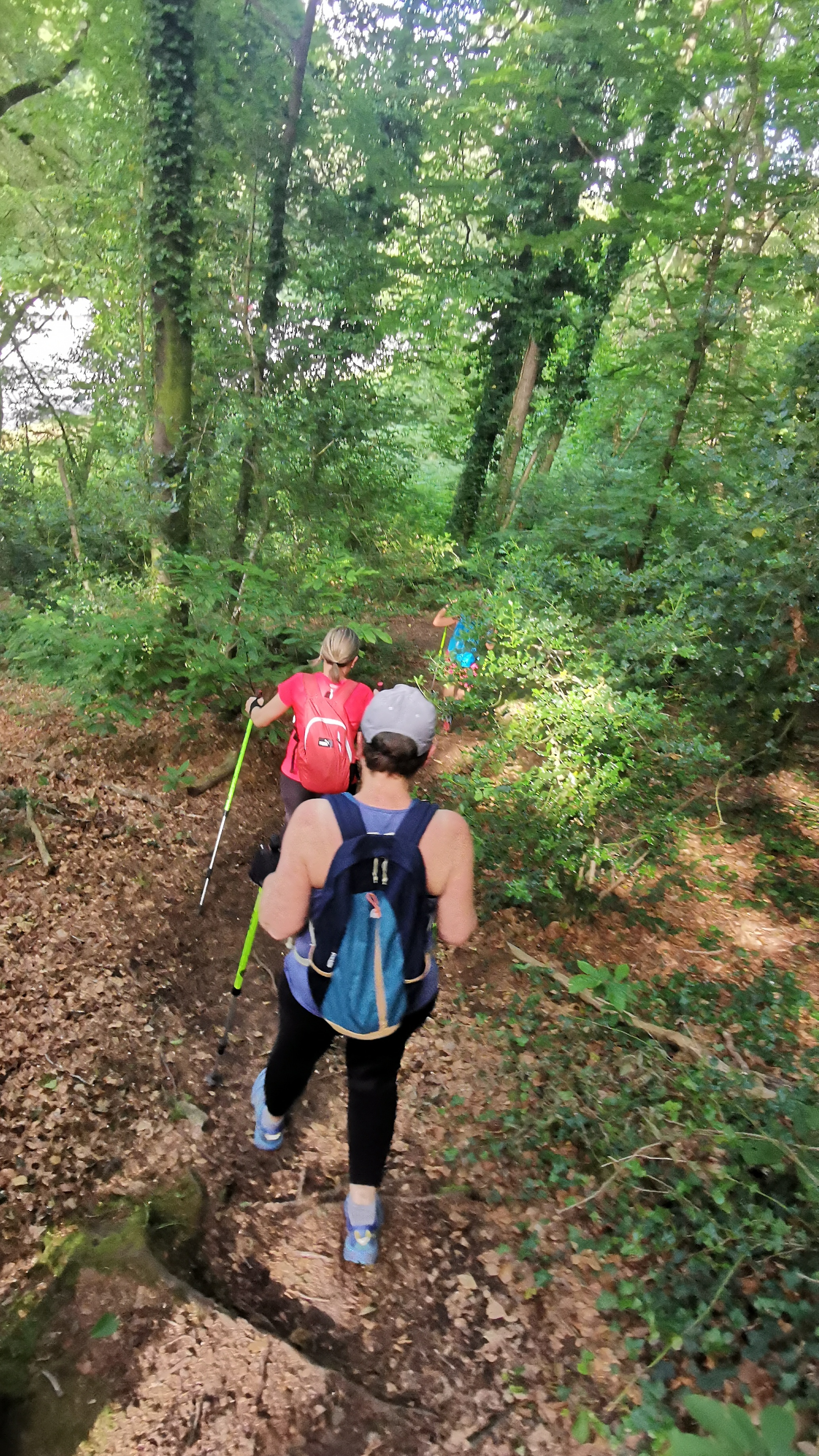 47-IMG_20210608_183718