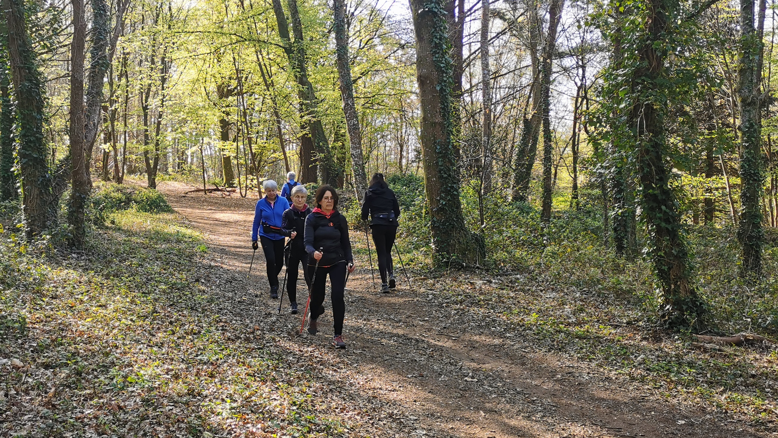 13-IMG_20210415_104052_1