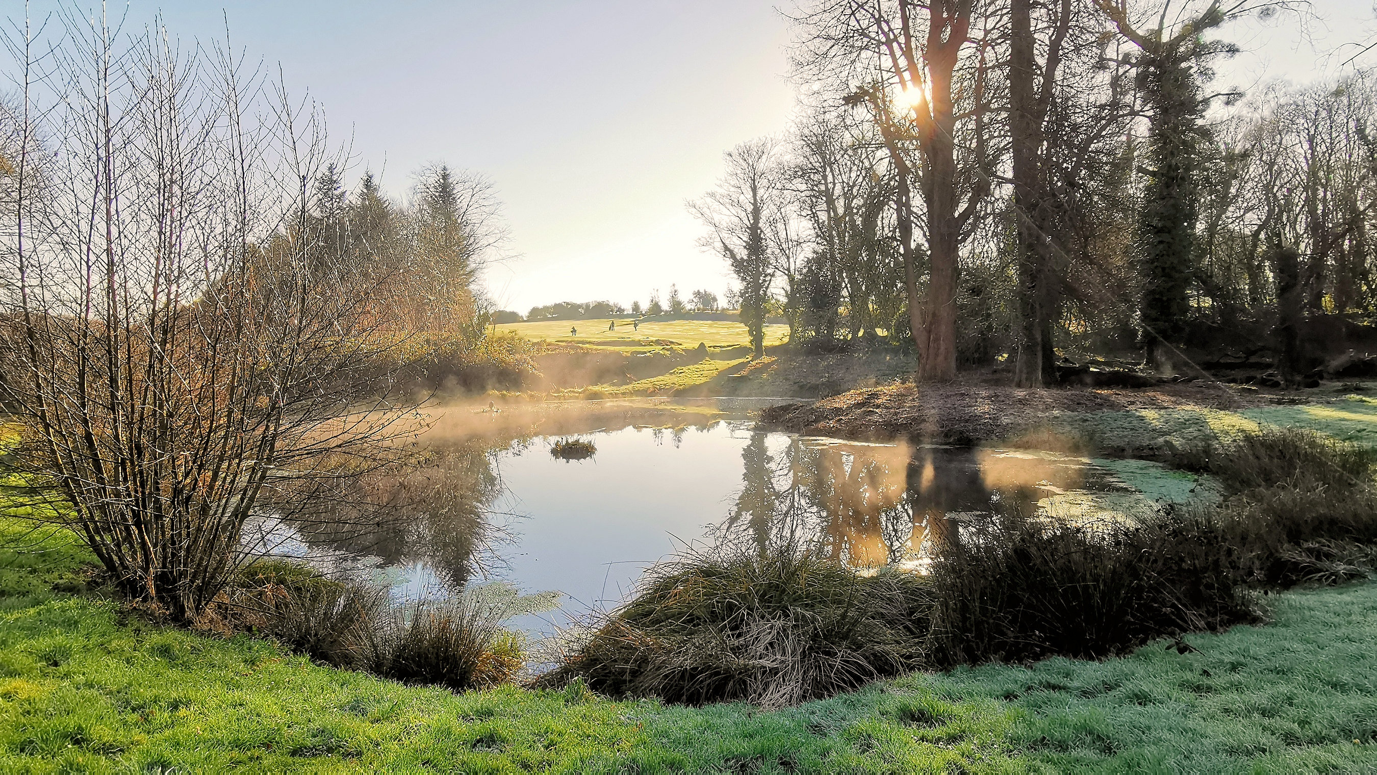 53-IMG_20210207_104008_1