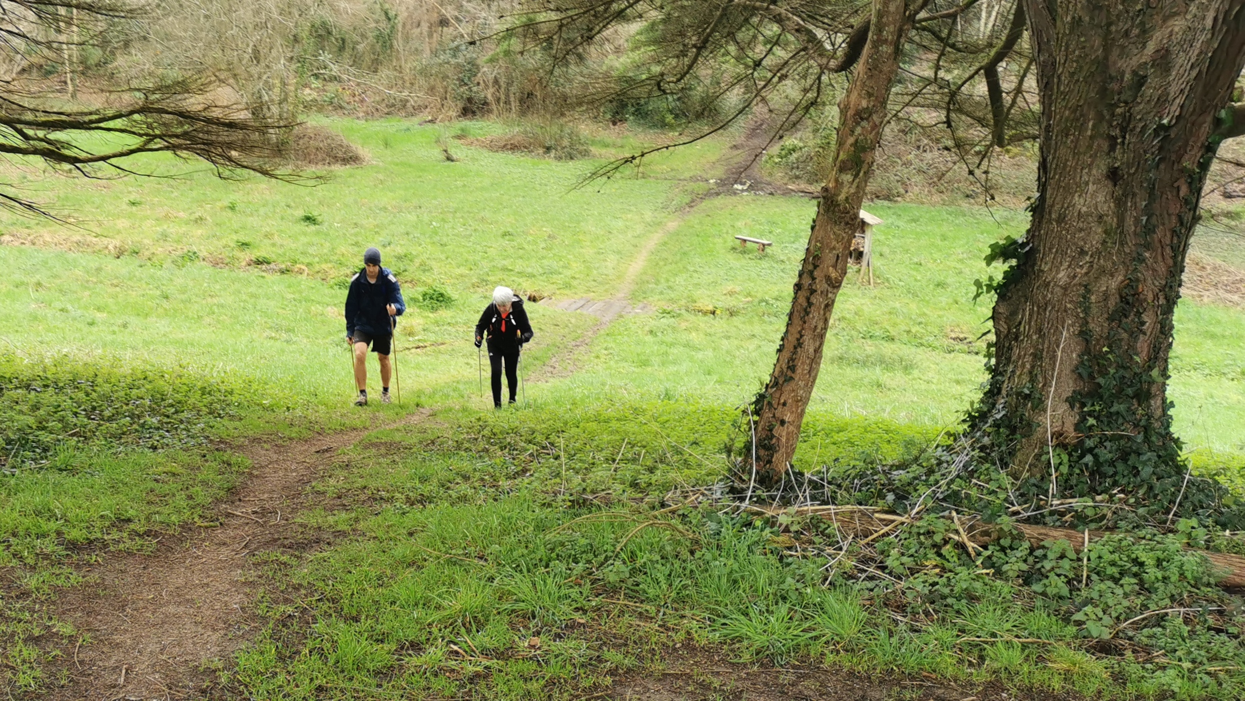 047-IMG_20210220_110532_1