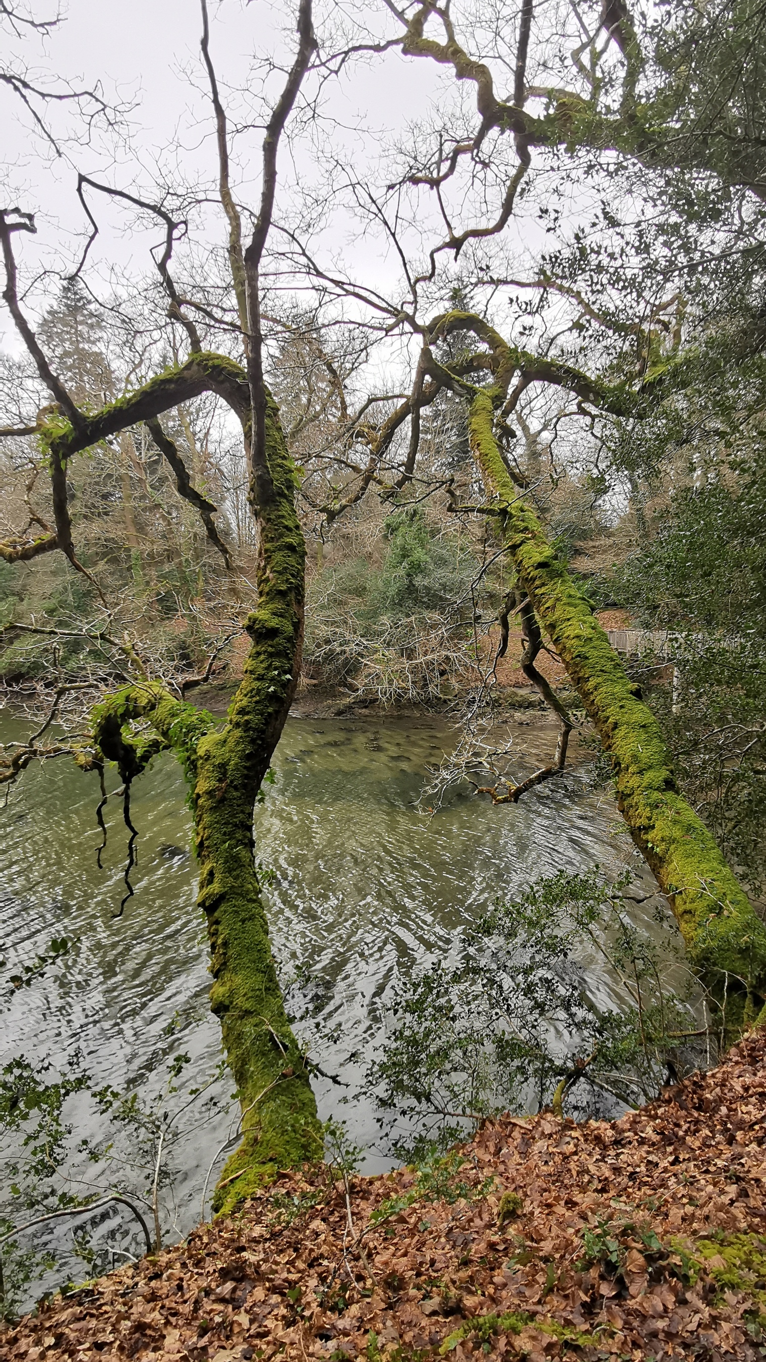 147-IMG_20210220_123929