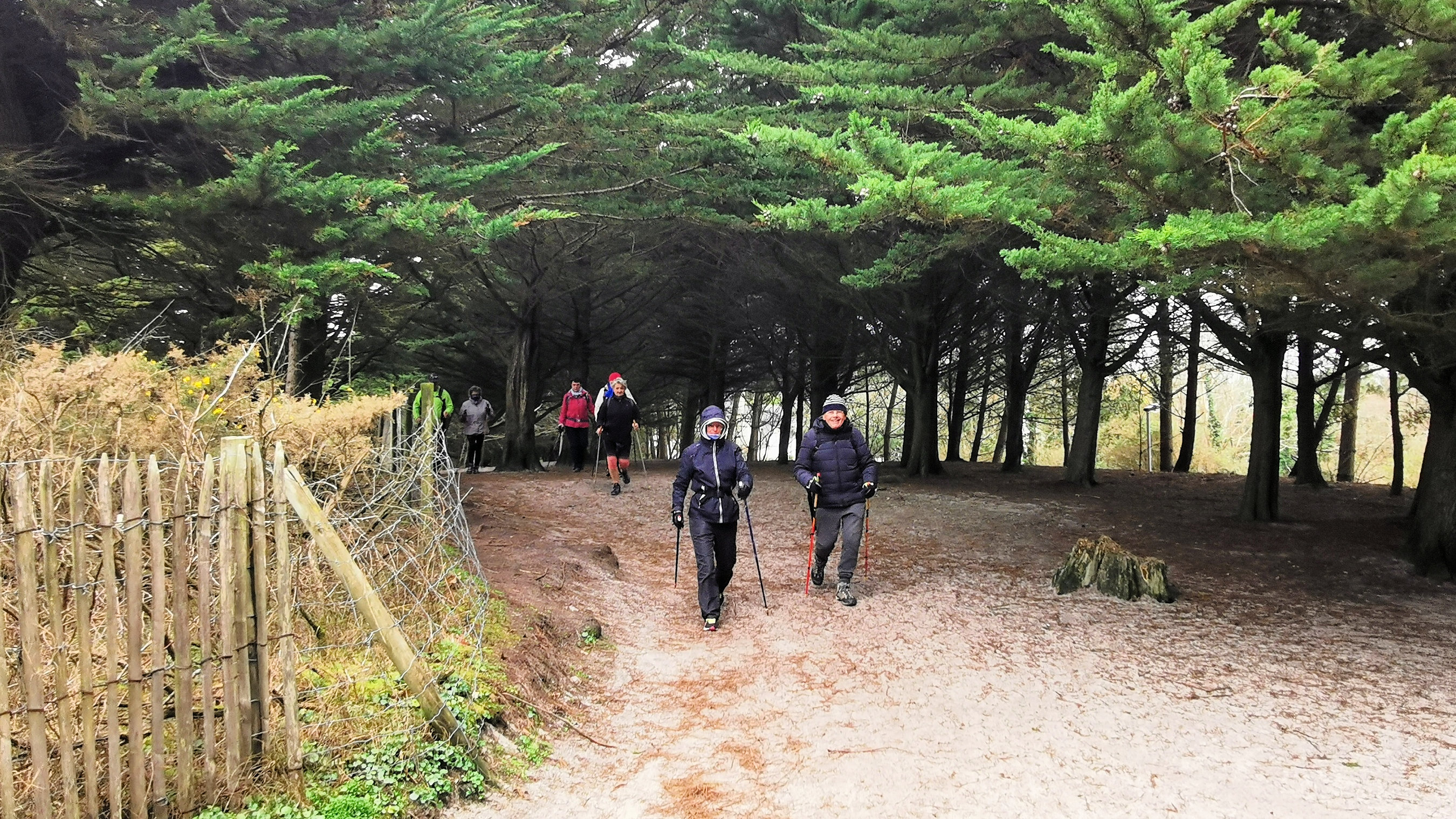 12-IMG_20210208_104659