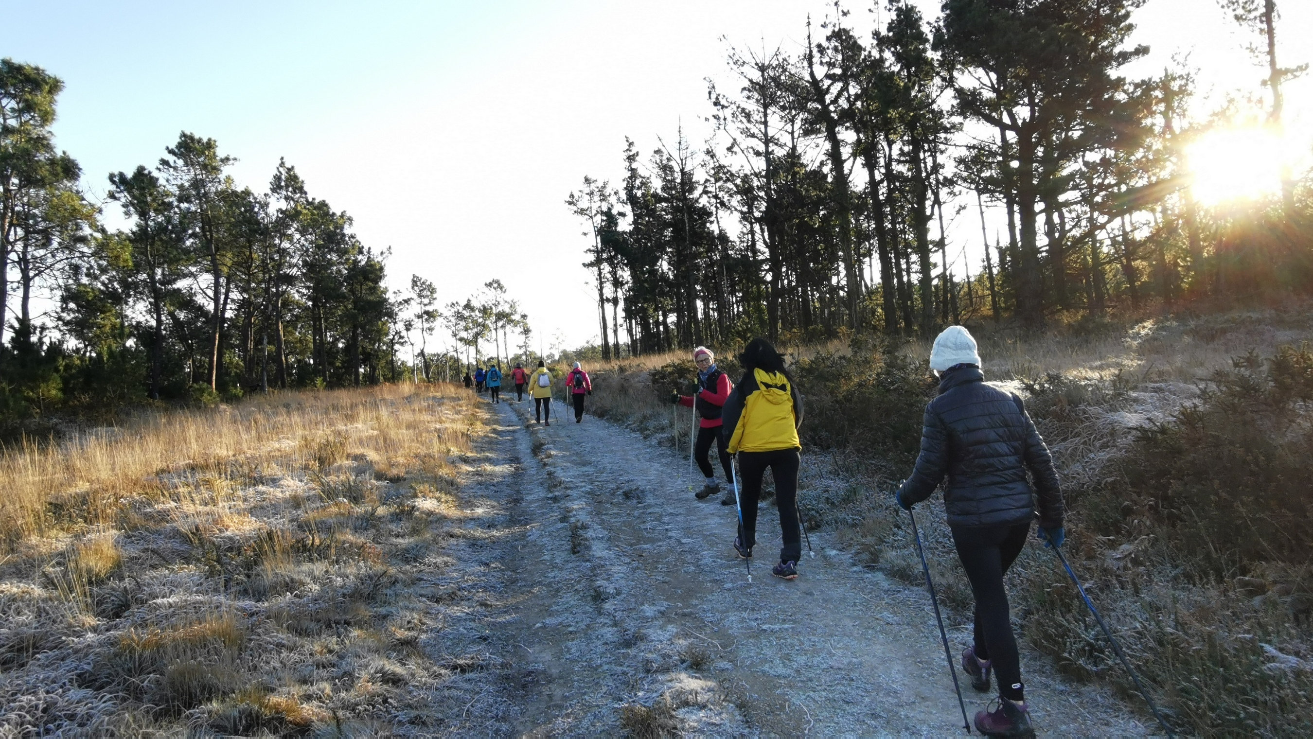 060-IMG_20210110_104119