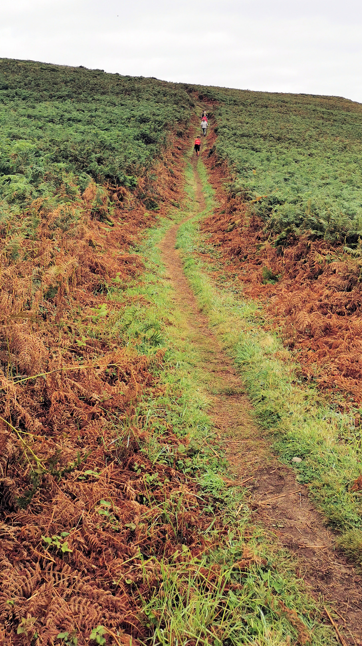 029-IMG_20210815_101247