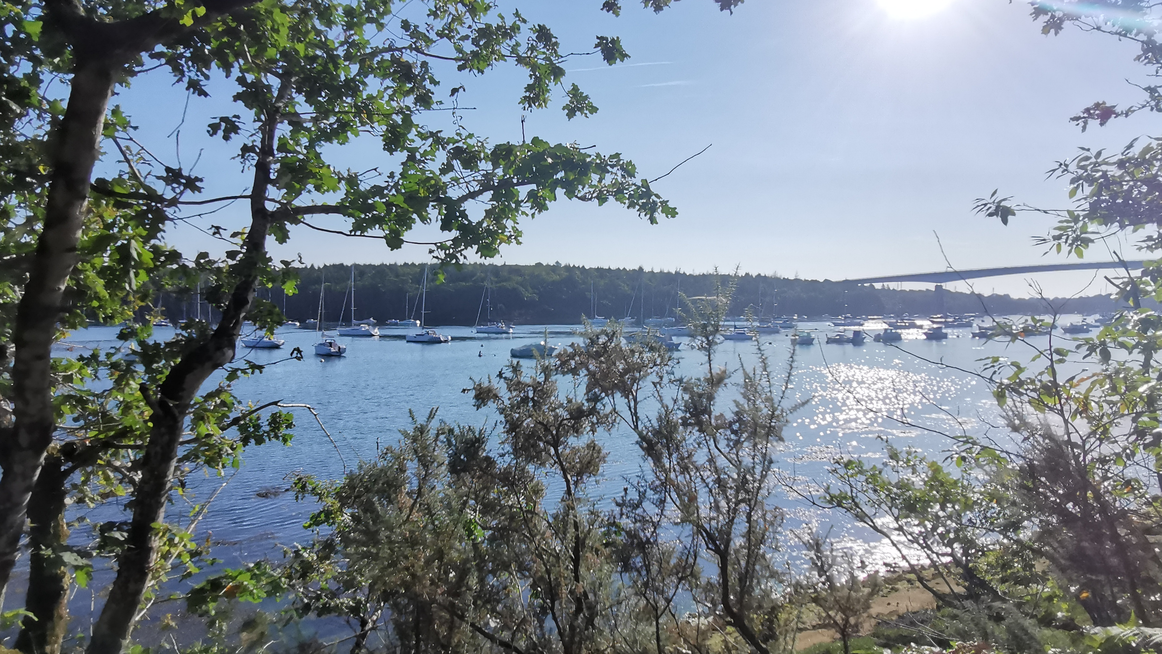 12-IMG_20210829_095444