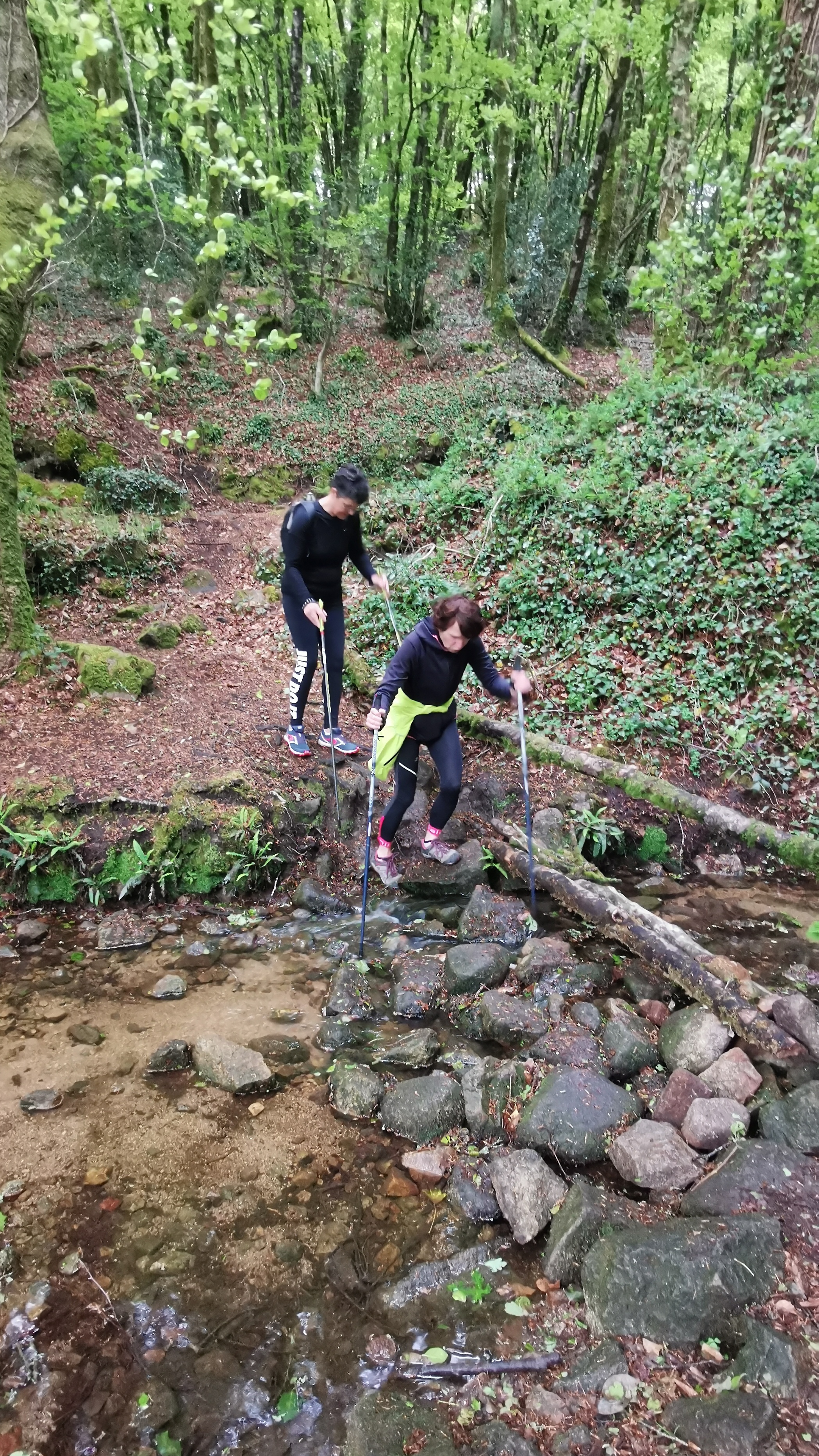 36-IMG_20210508_104600_1