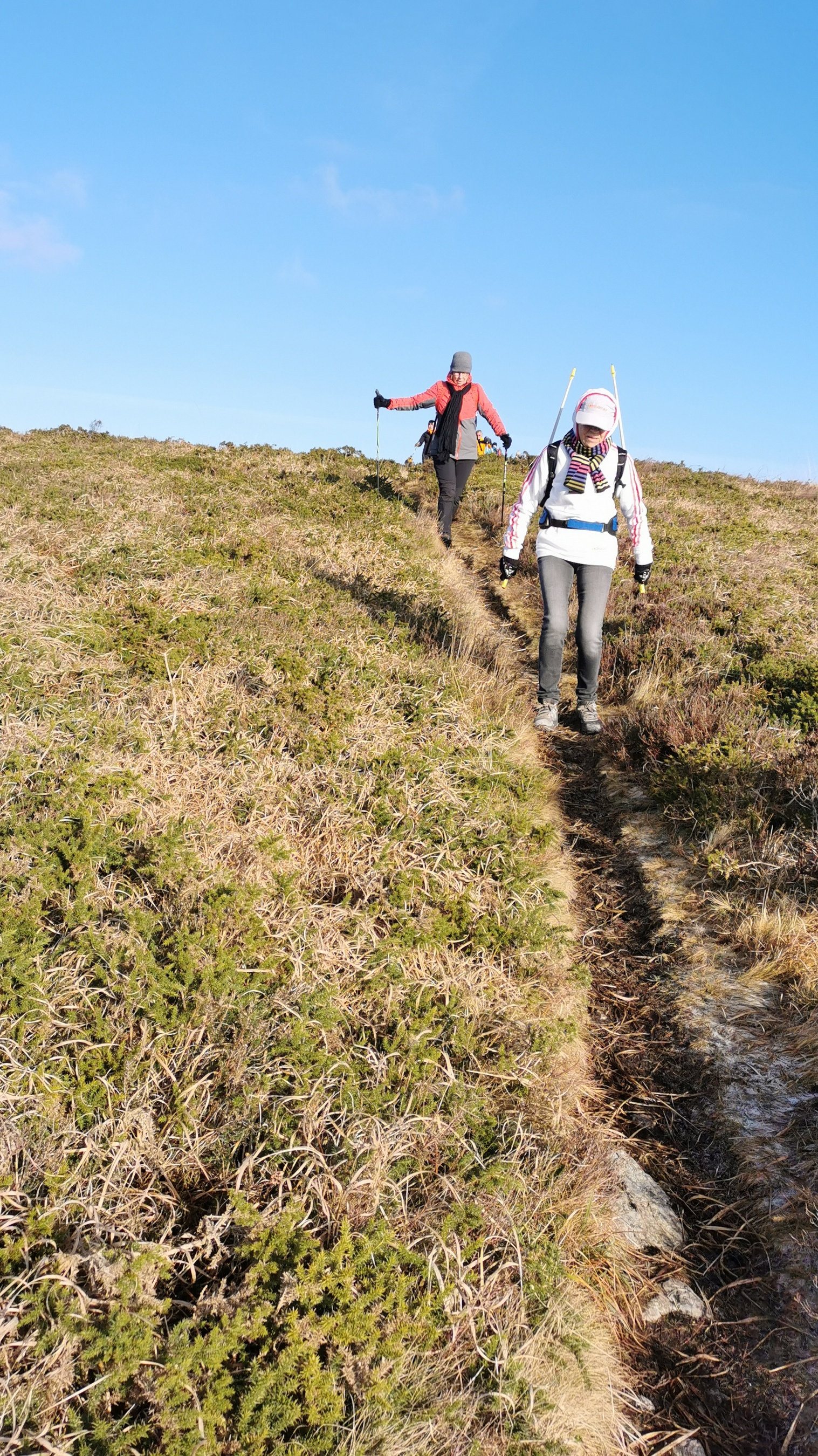 132-IMG_20210110_112532