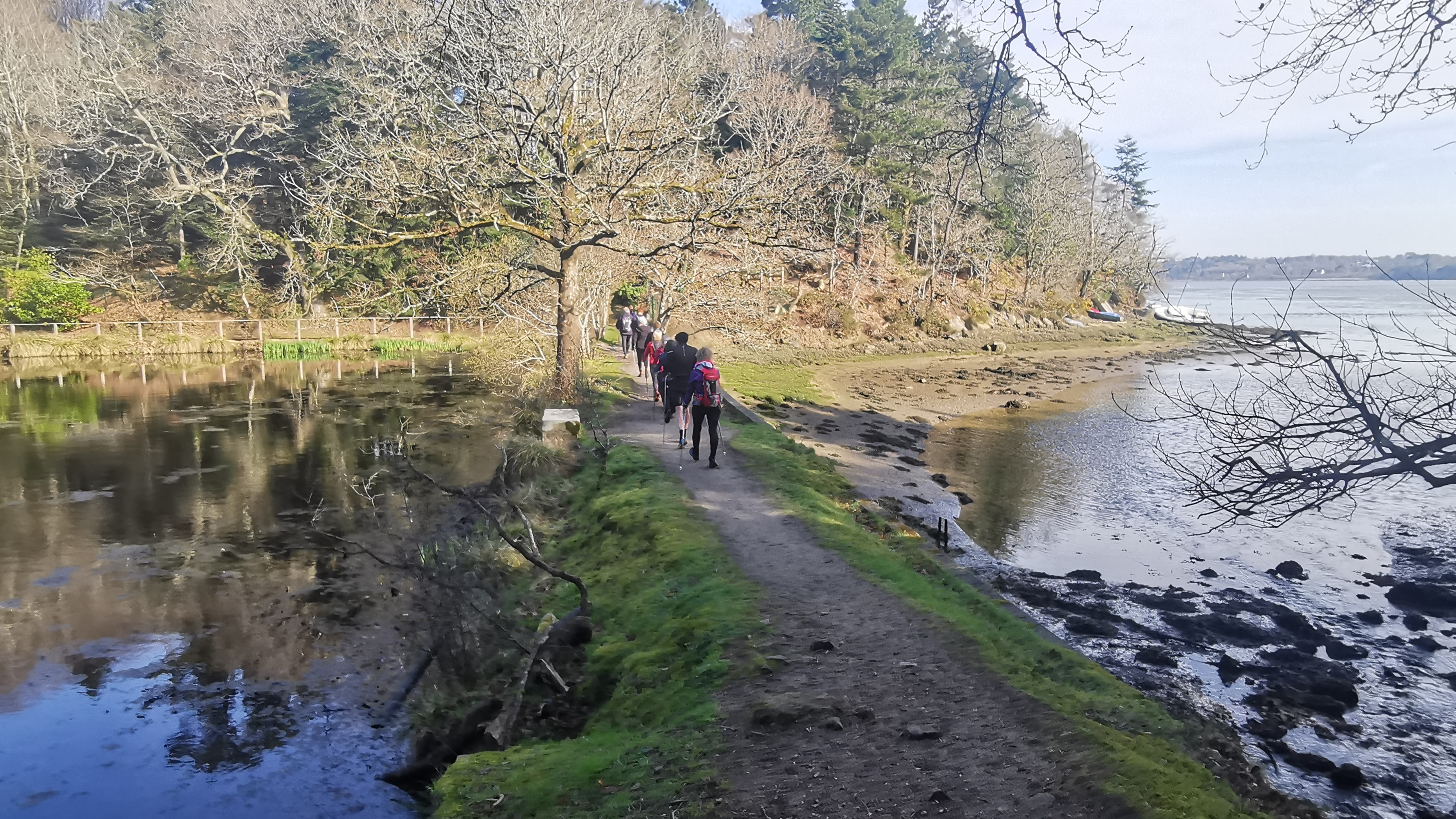 44-IMG_20210318_103220_1