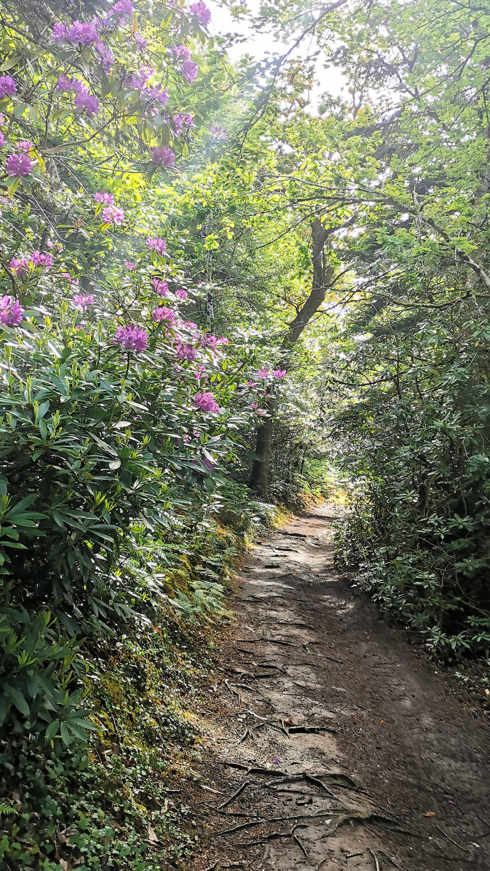 08-IMG_20210522_104517