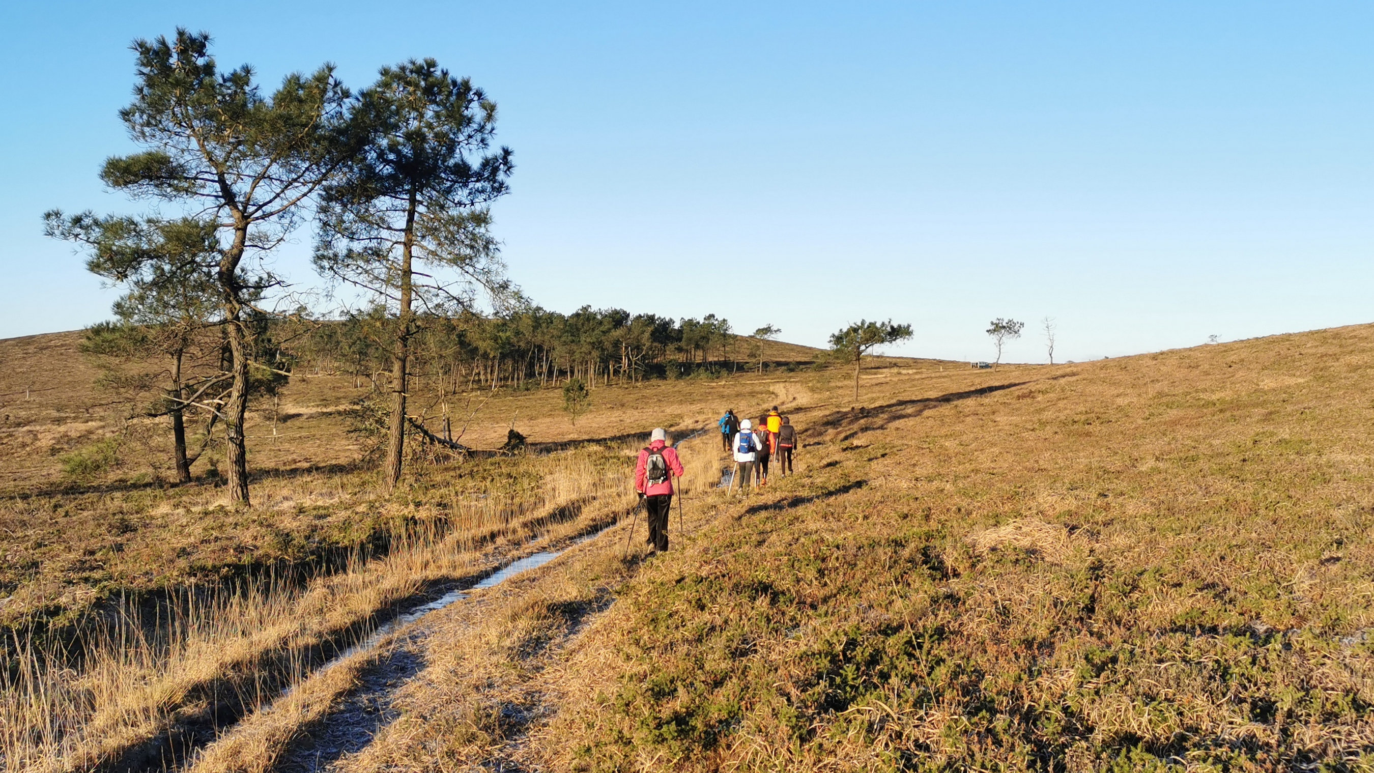 020-IMG_20210110_095830