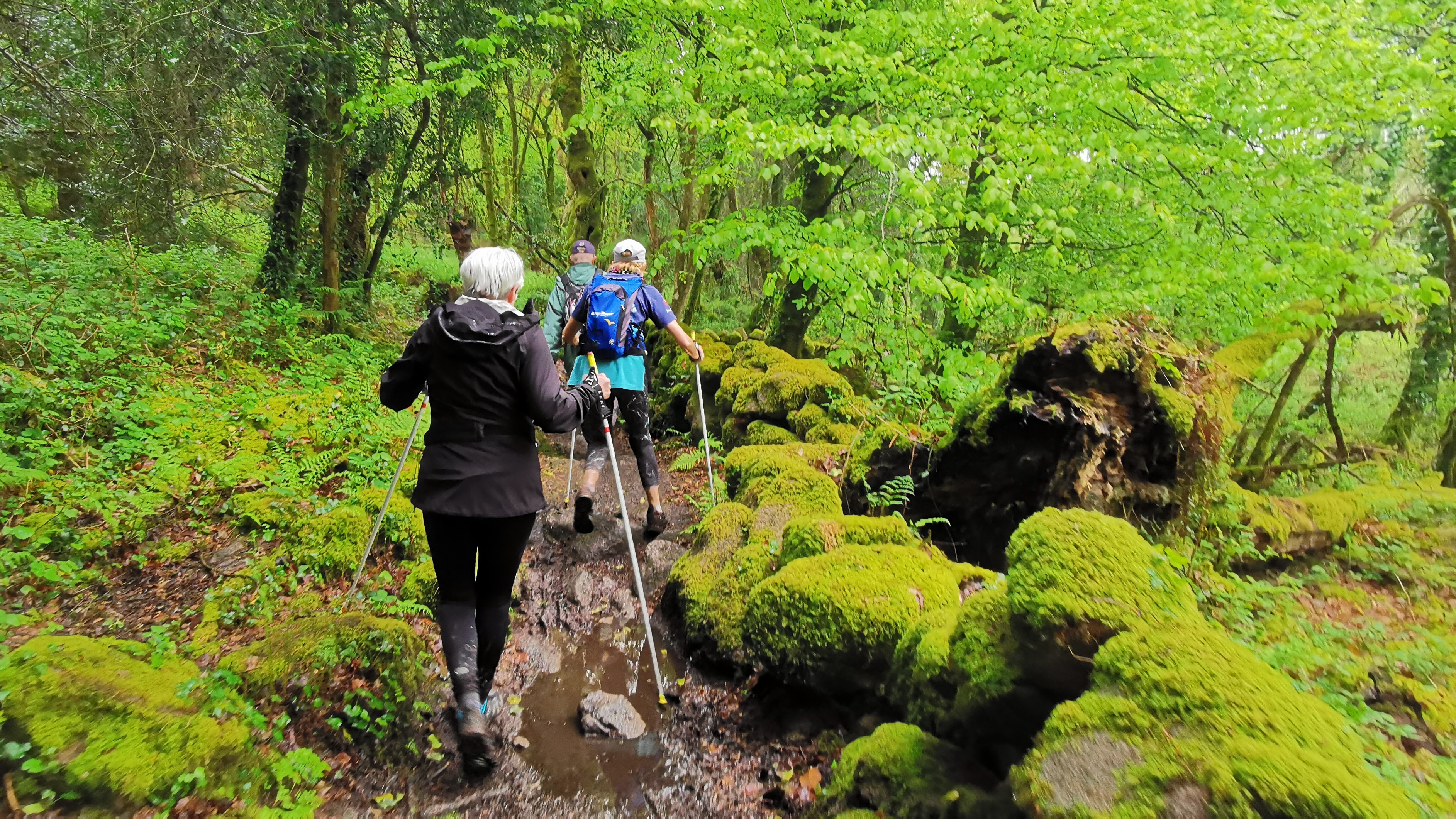 091-IMG_20210513_110729