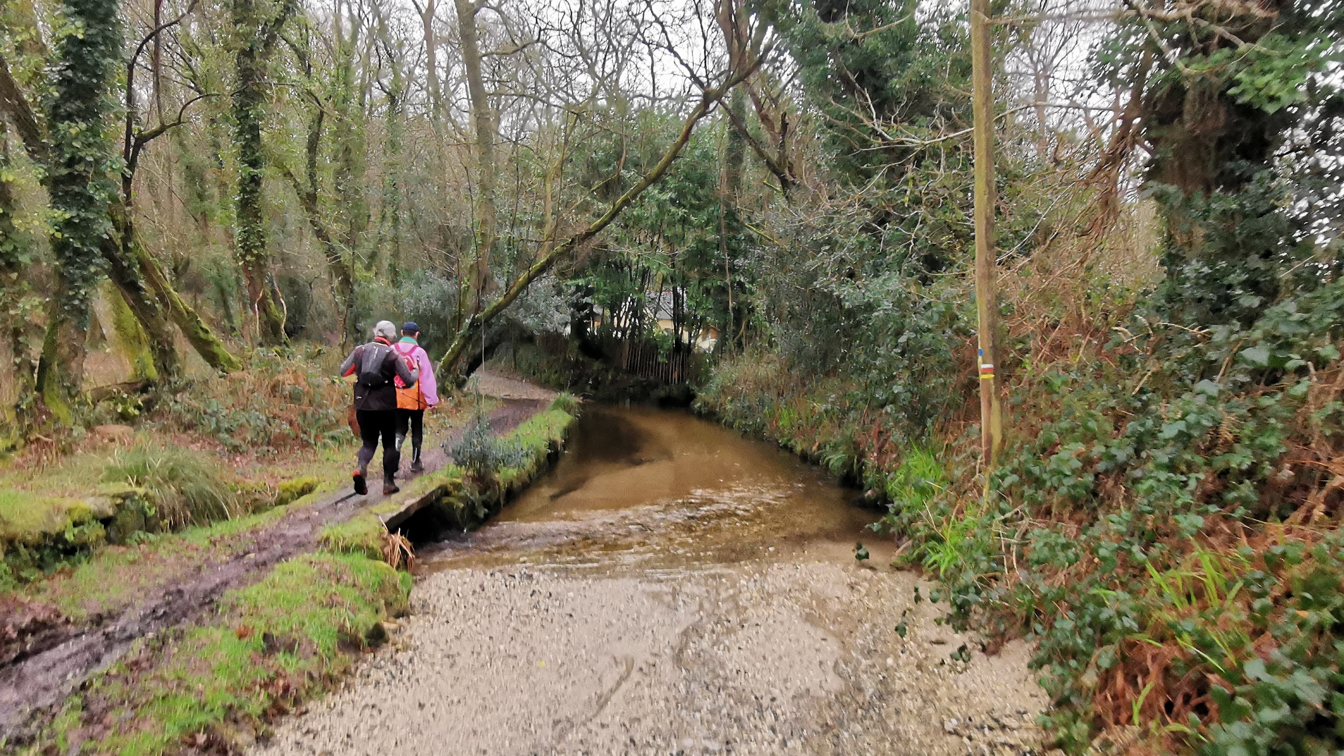 010-IMG_20210220_094031_1