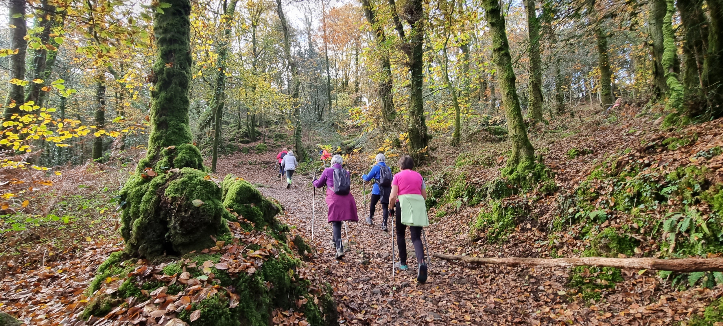 78-20211115_112002(0)