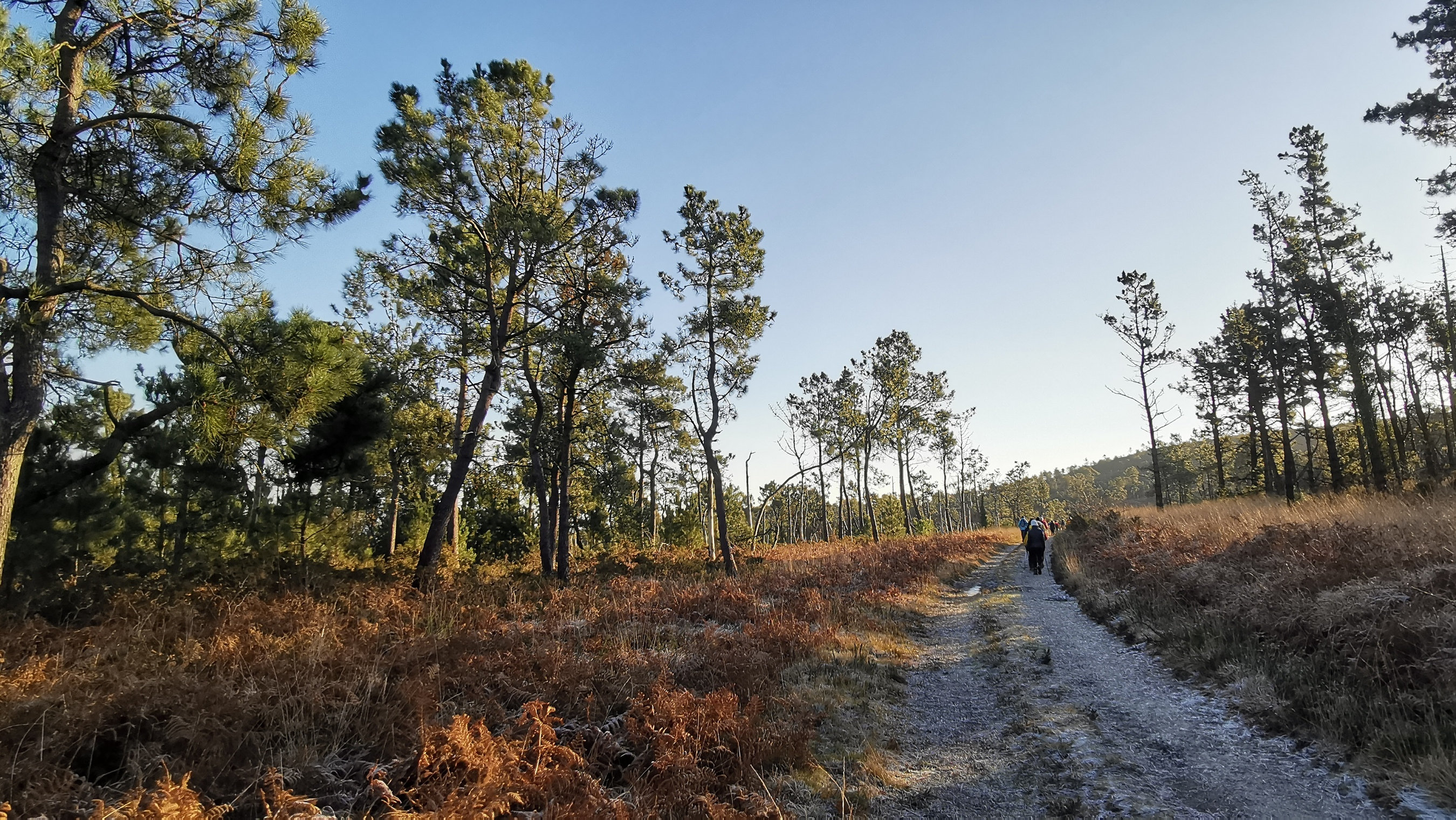 062-IMG_20210110_104214