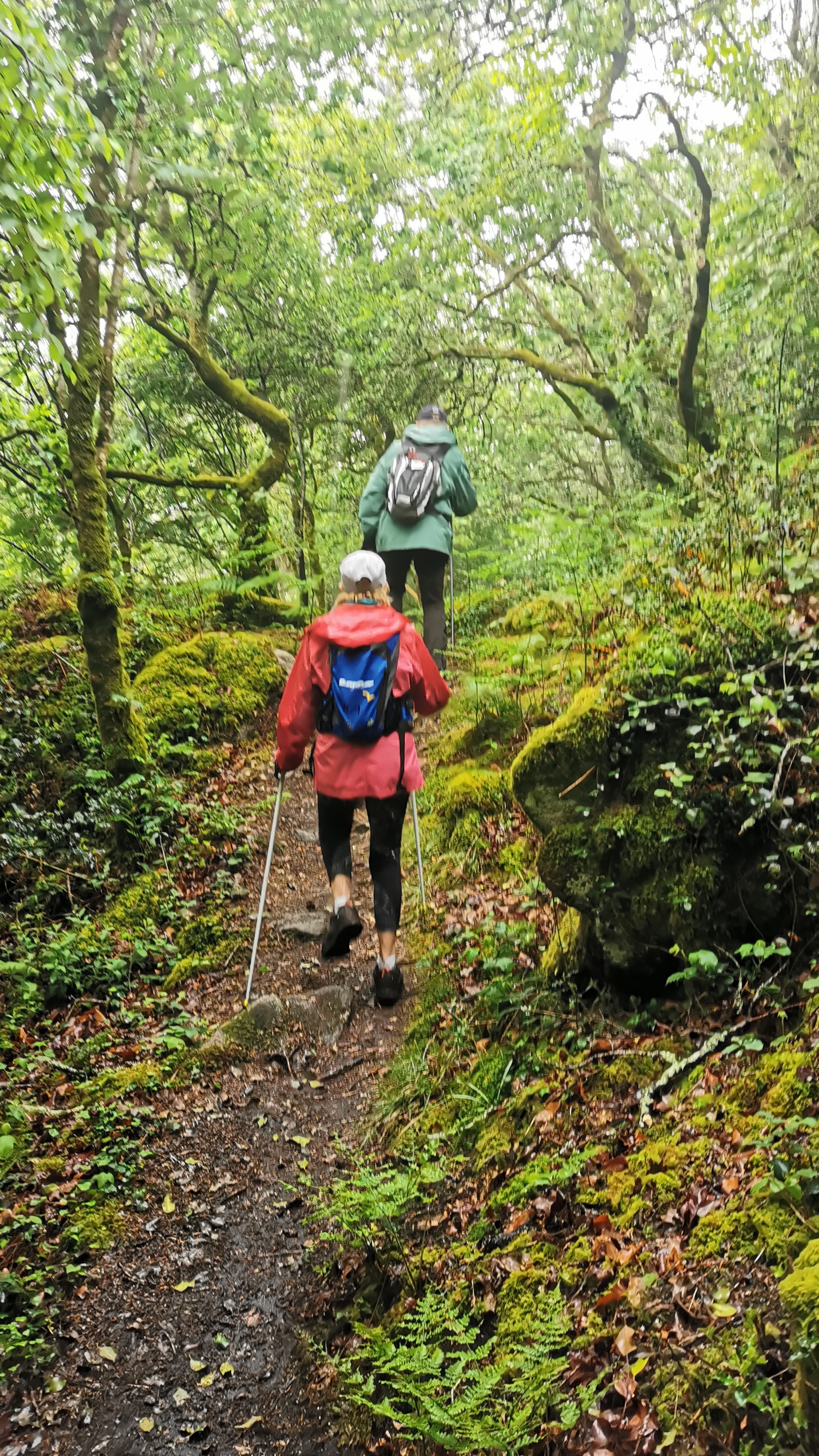 022-IMG_20210513_095458