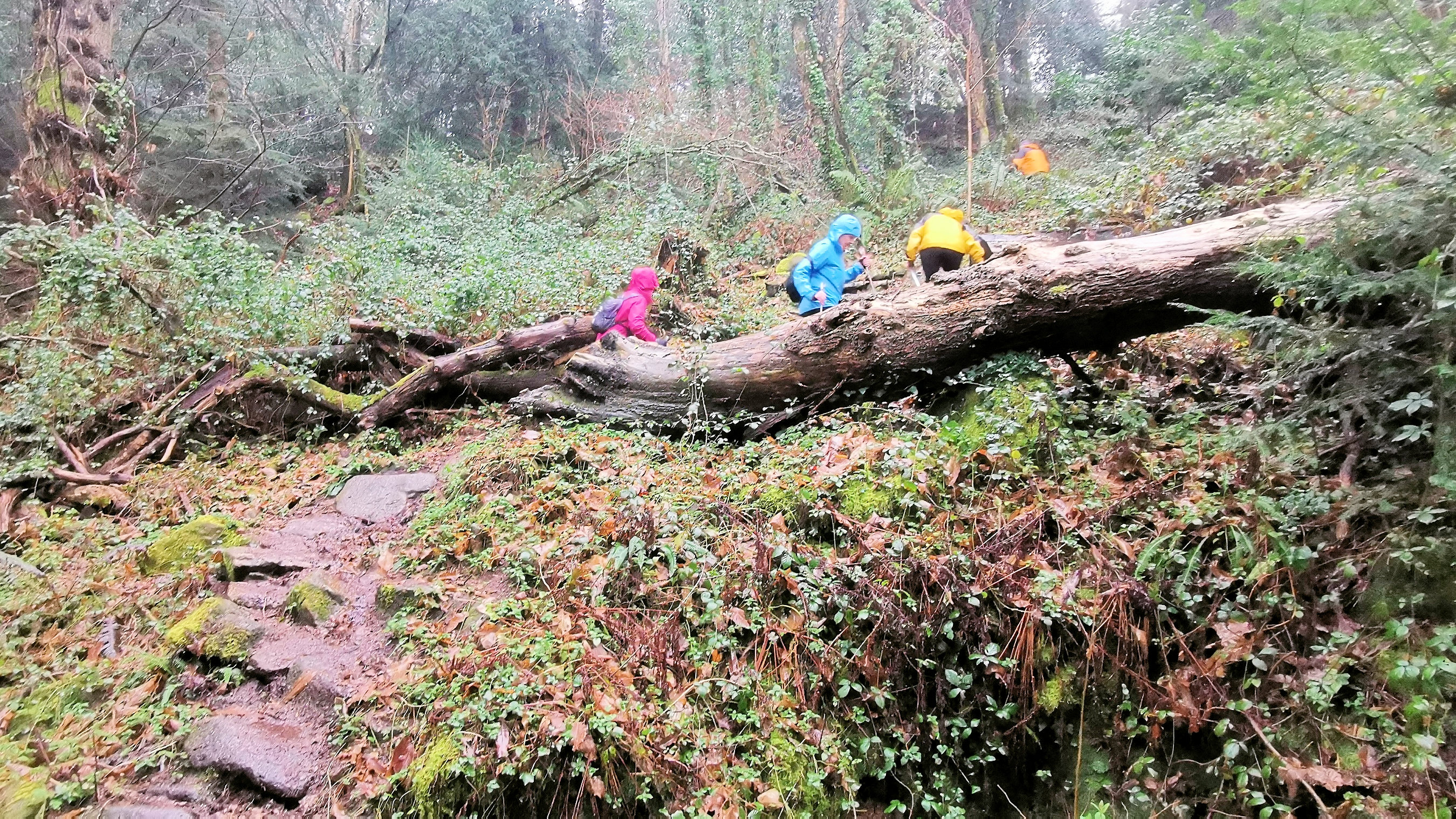 66-IMG_20210121_113323_1