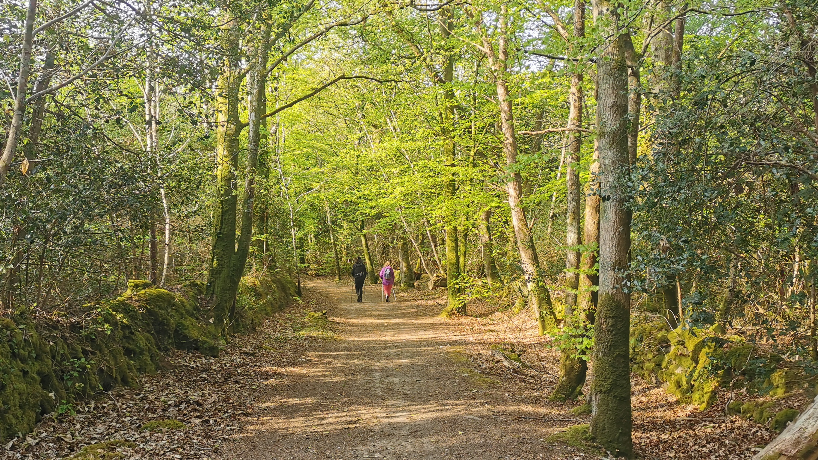 01-IMG_20210426_100131