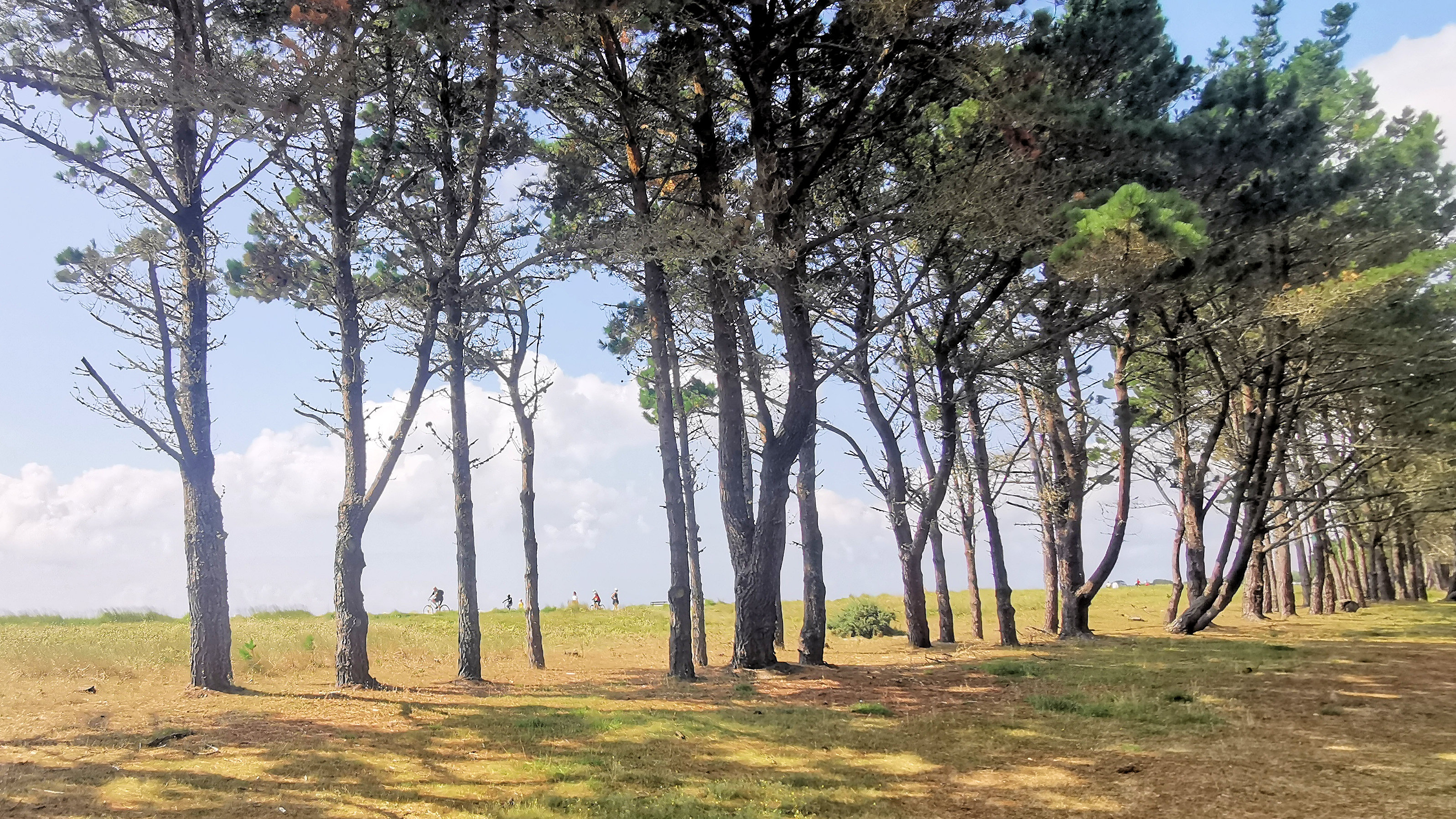 51-IMG_20210726_115004