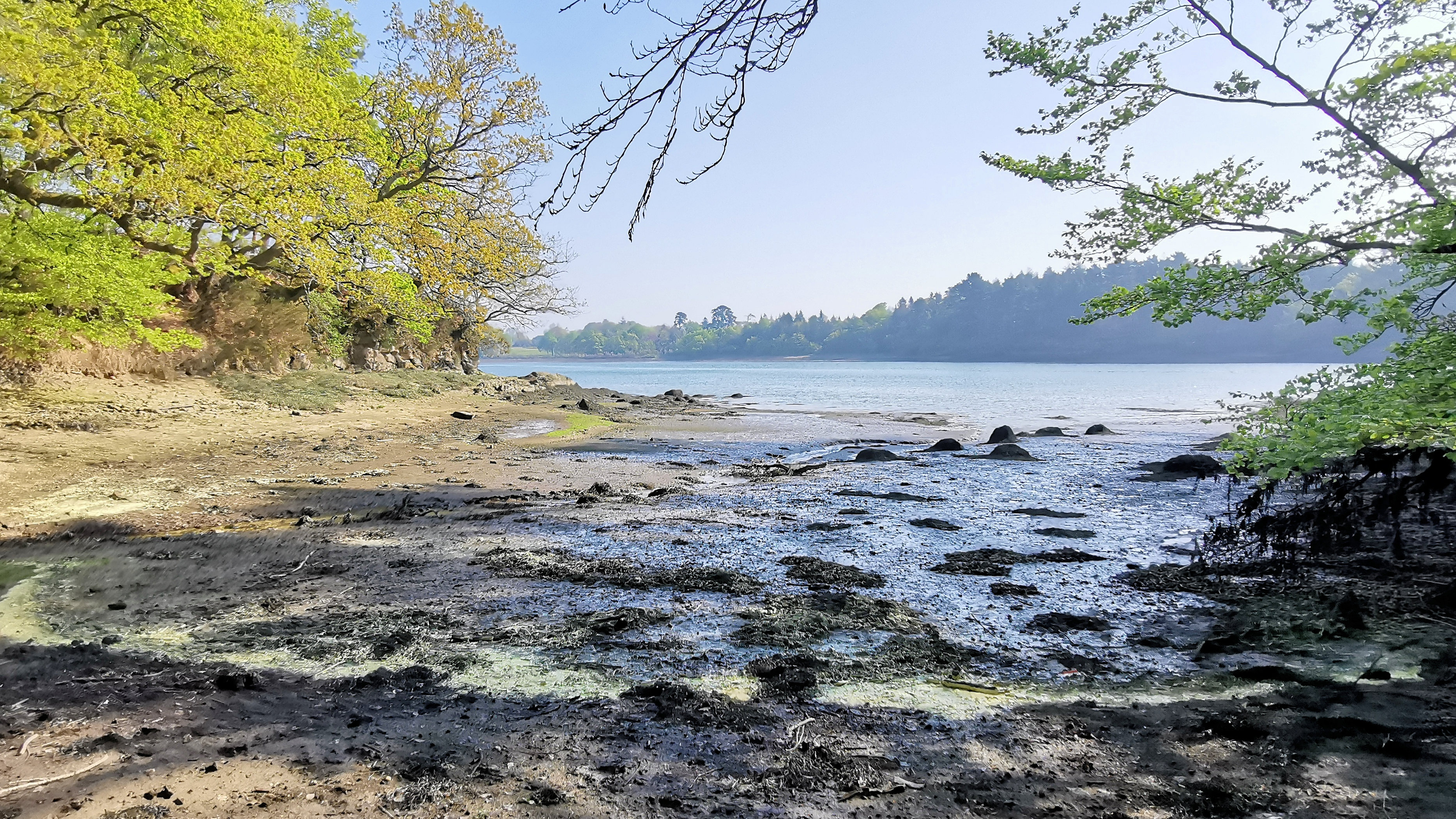 24-IMG_20210422_105319