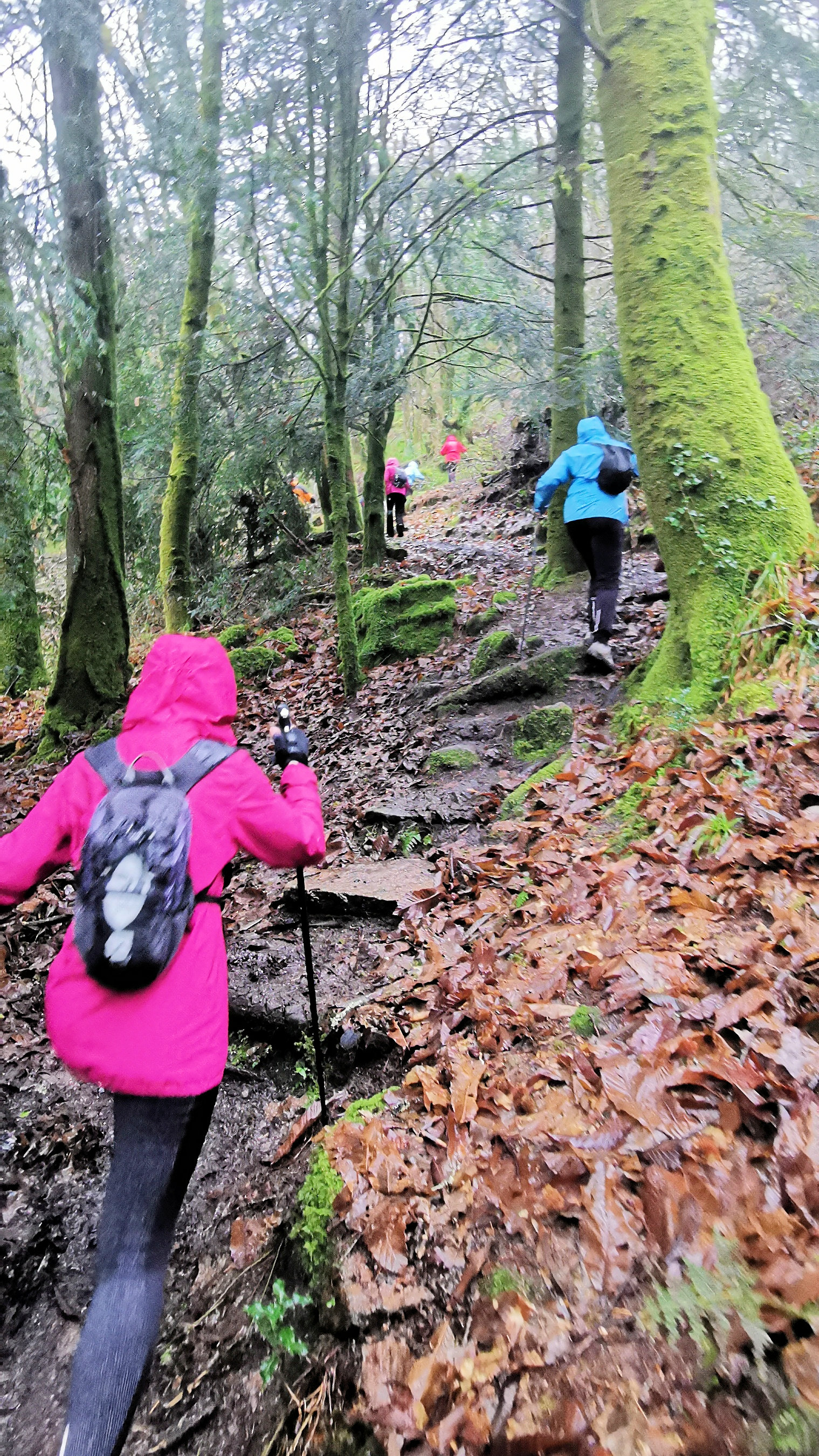 55-IMG_20210121_112904