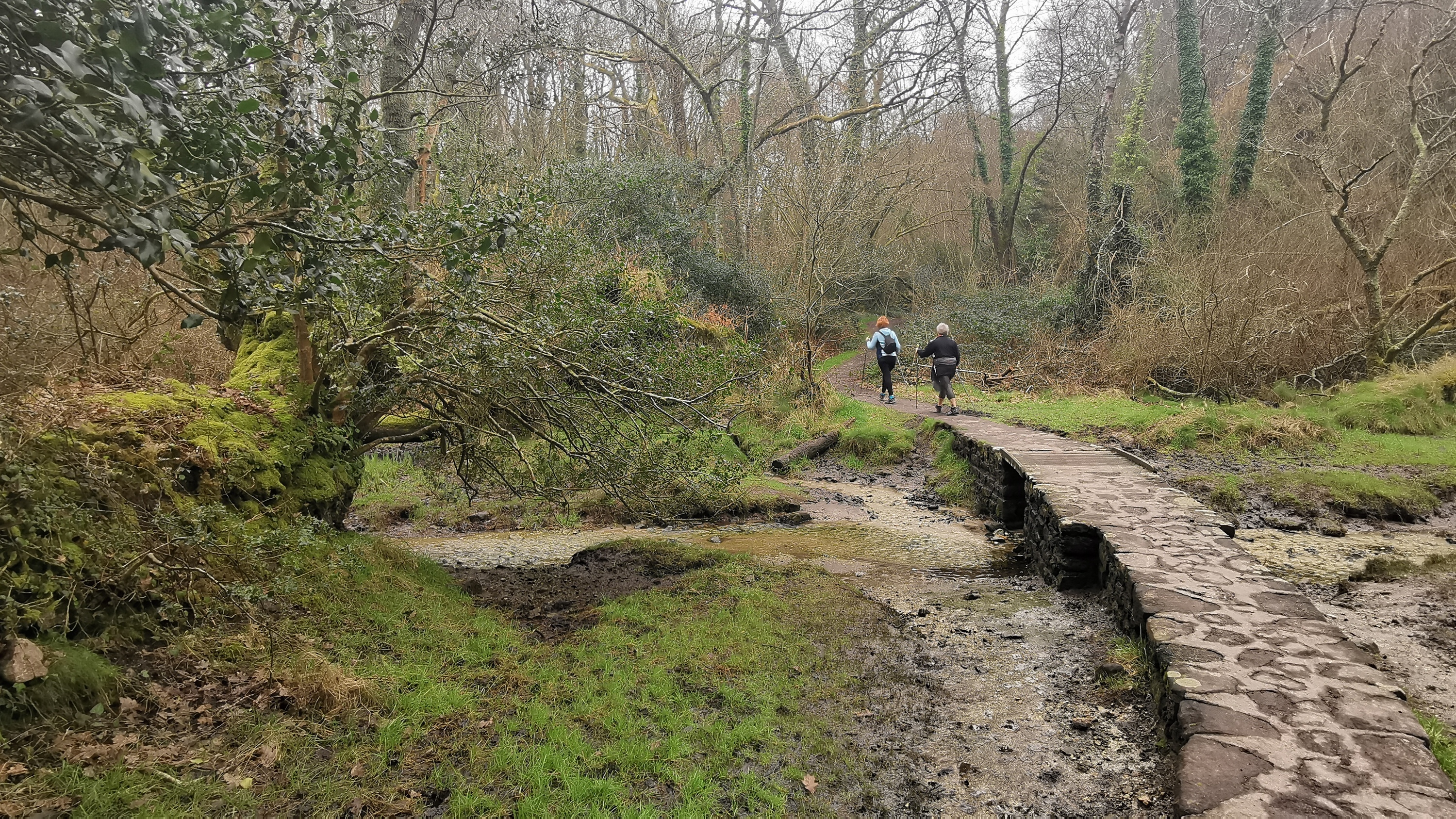 17-IMG_20210304_103433