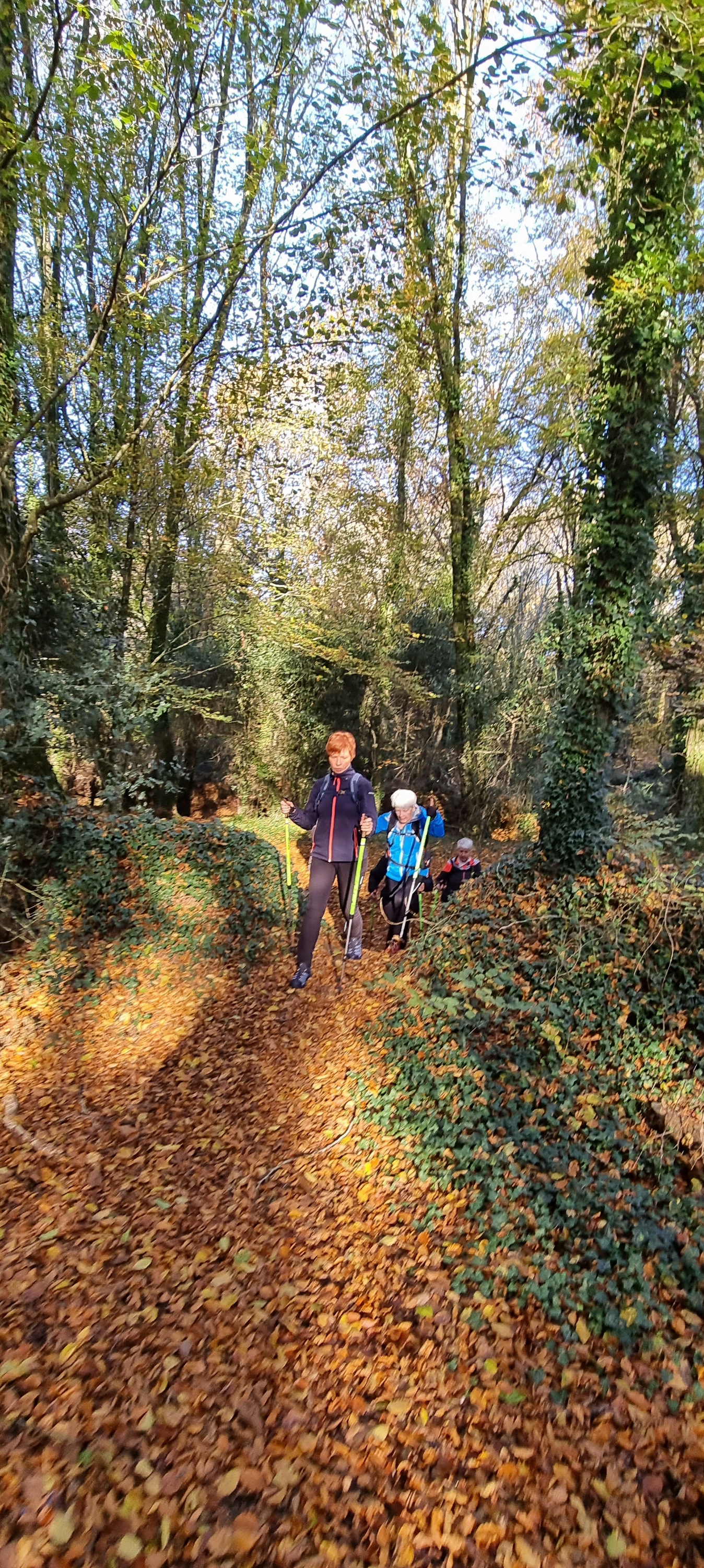 40-20211123_110046(0)