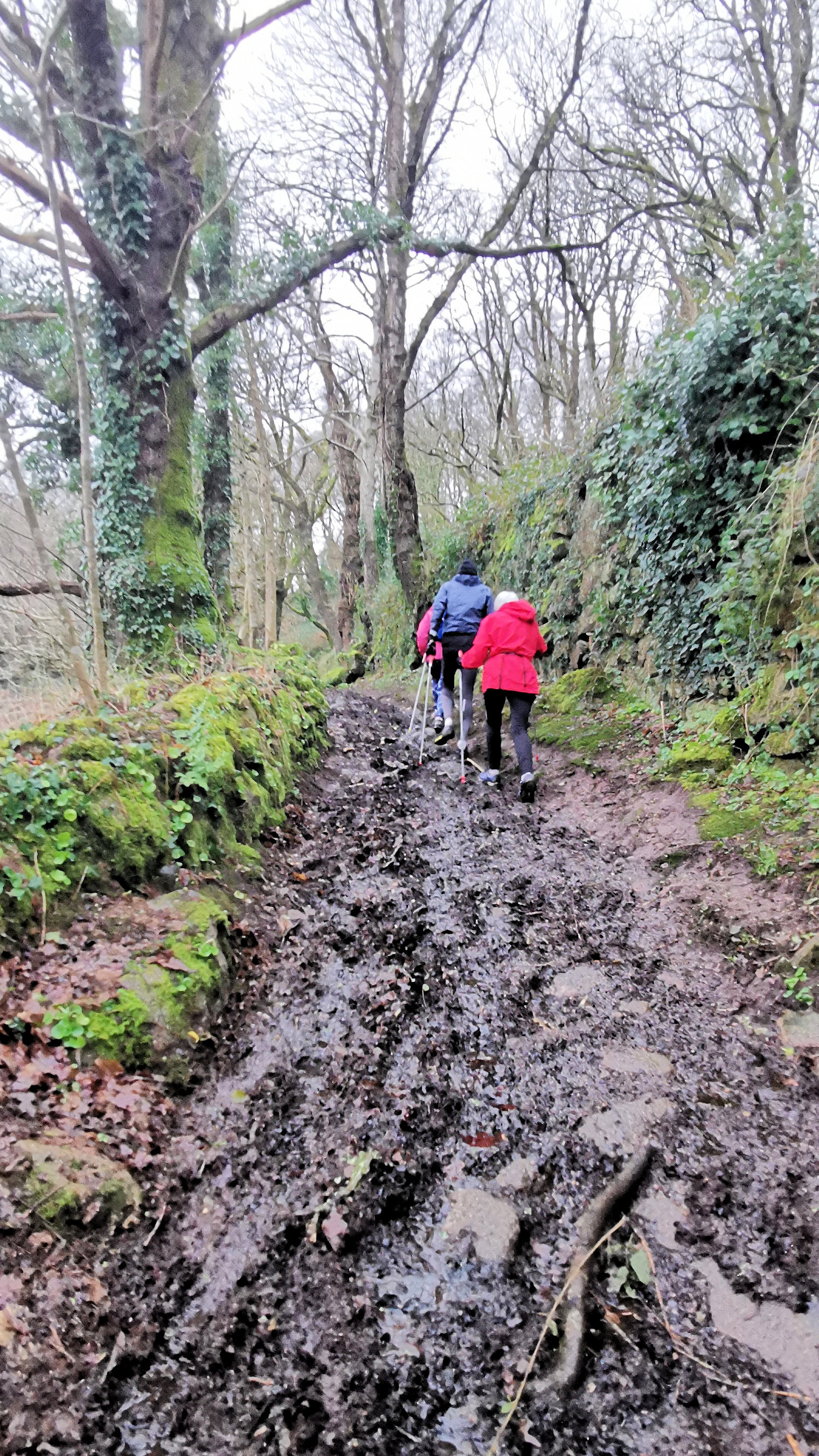 22-IMG_20210121_101458