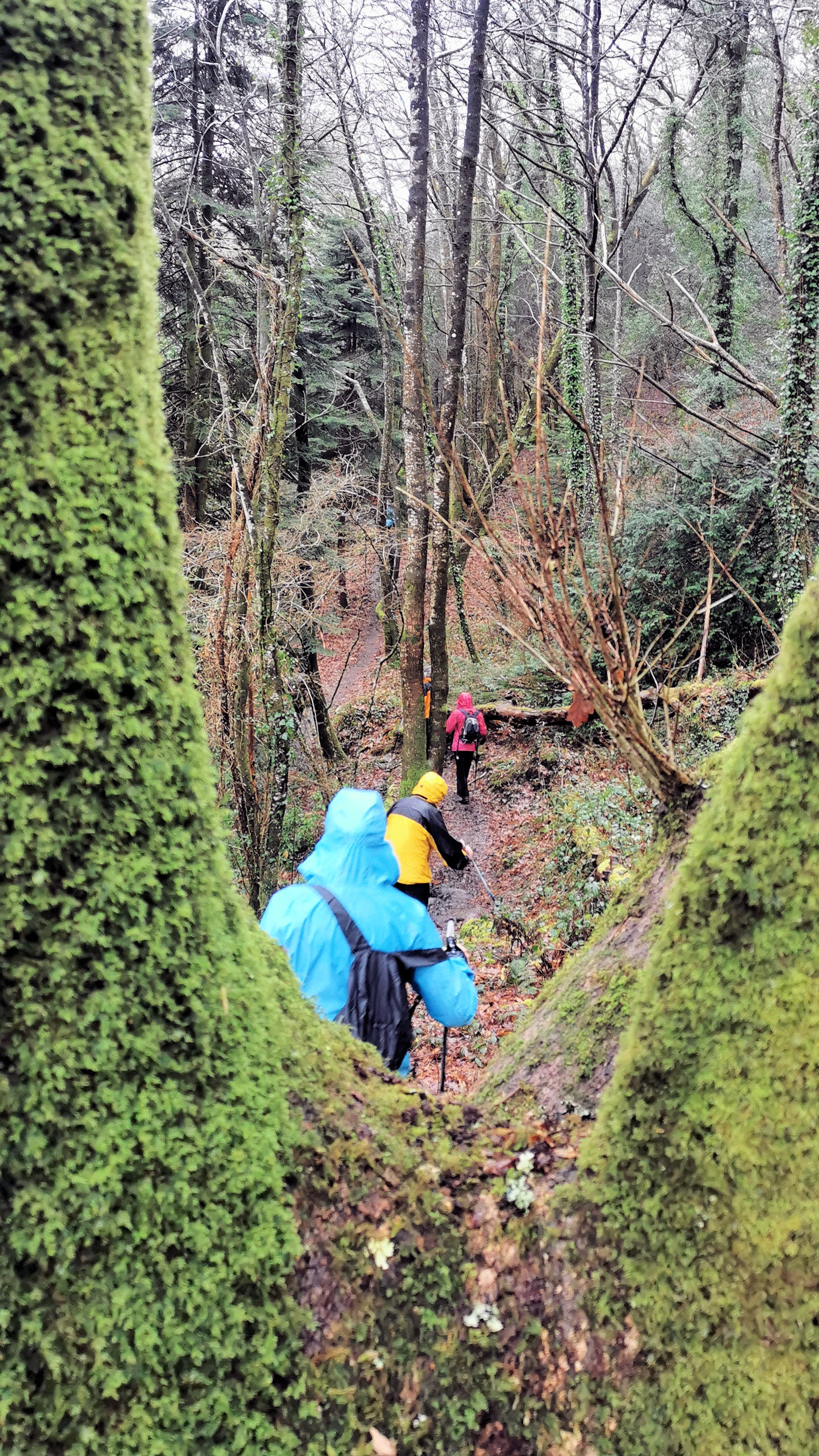 53-IMG_20210121_112322