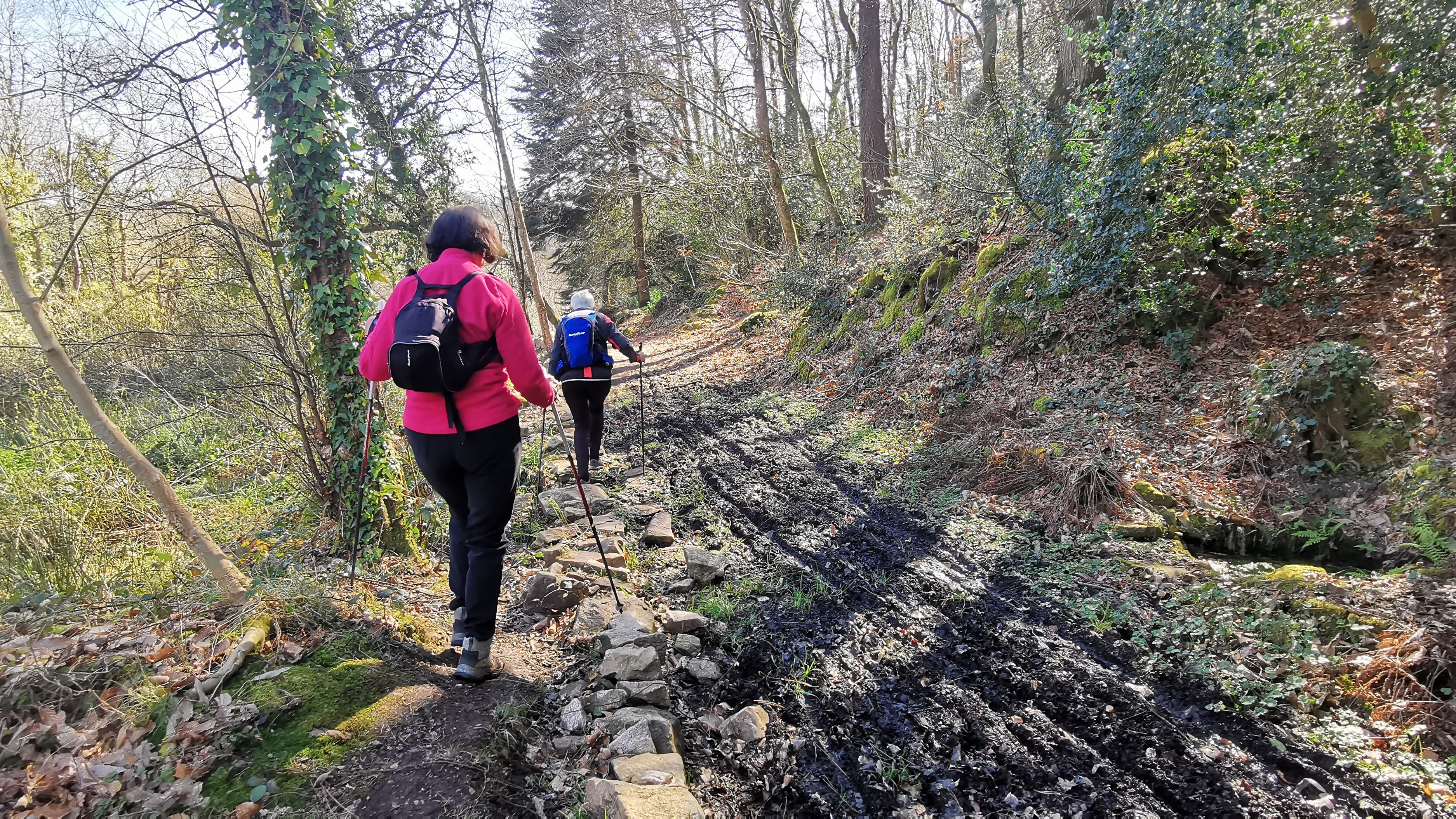 38-IMG_20210320_112627