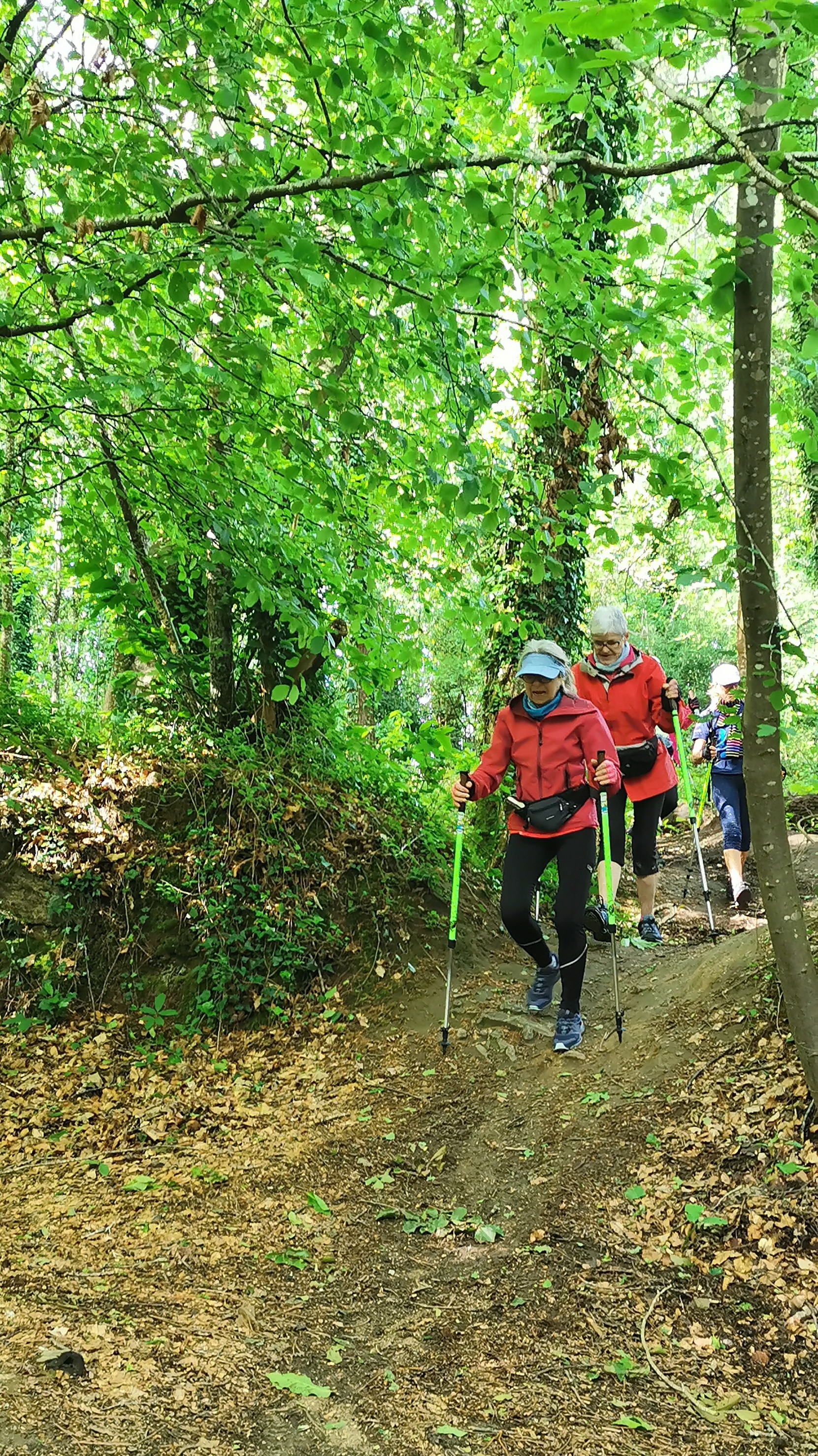 24-IMG_20210525_102102_1