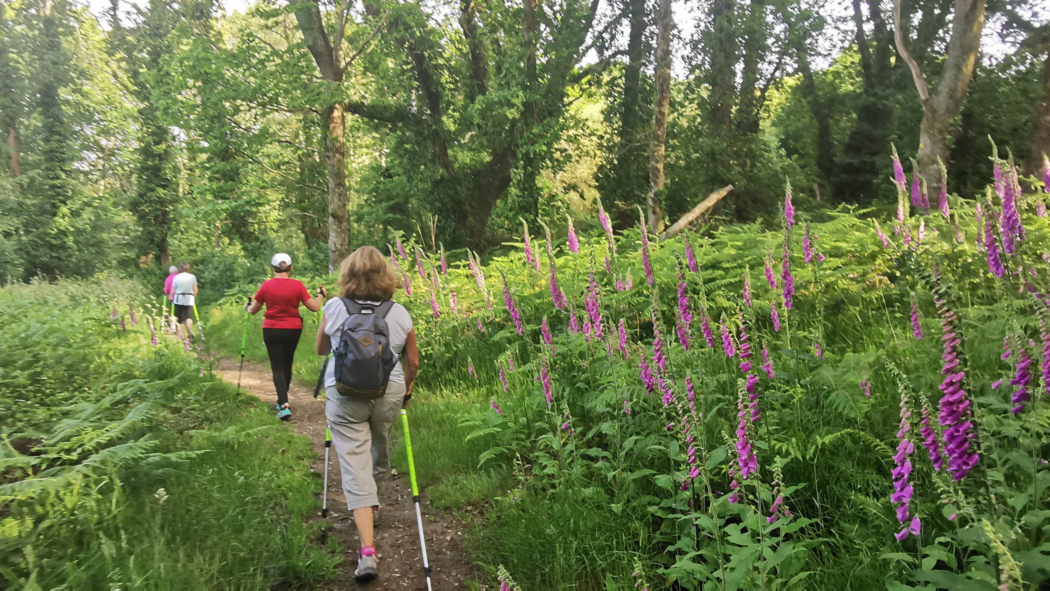 07-IMG_20210608_095033