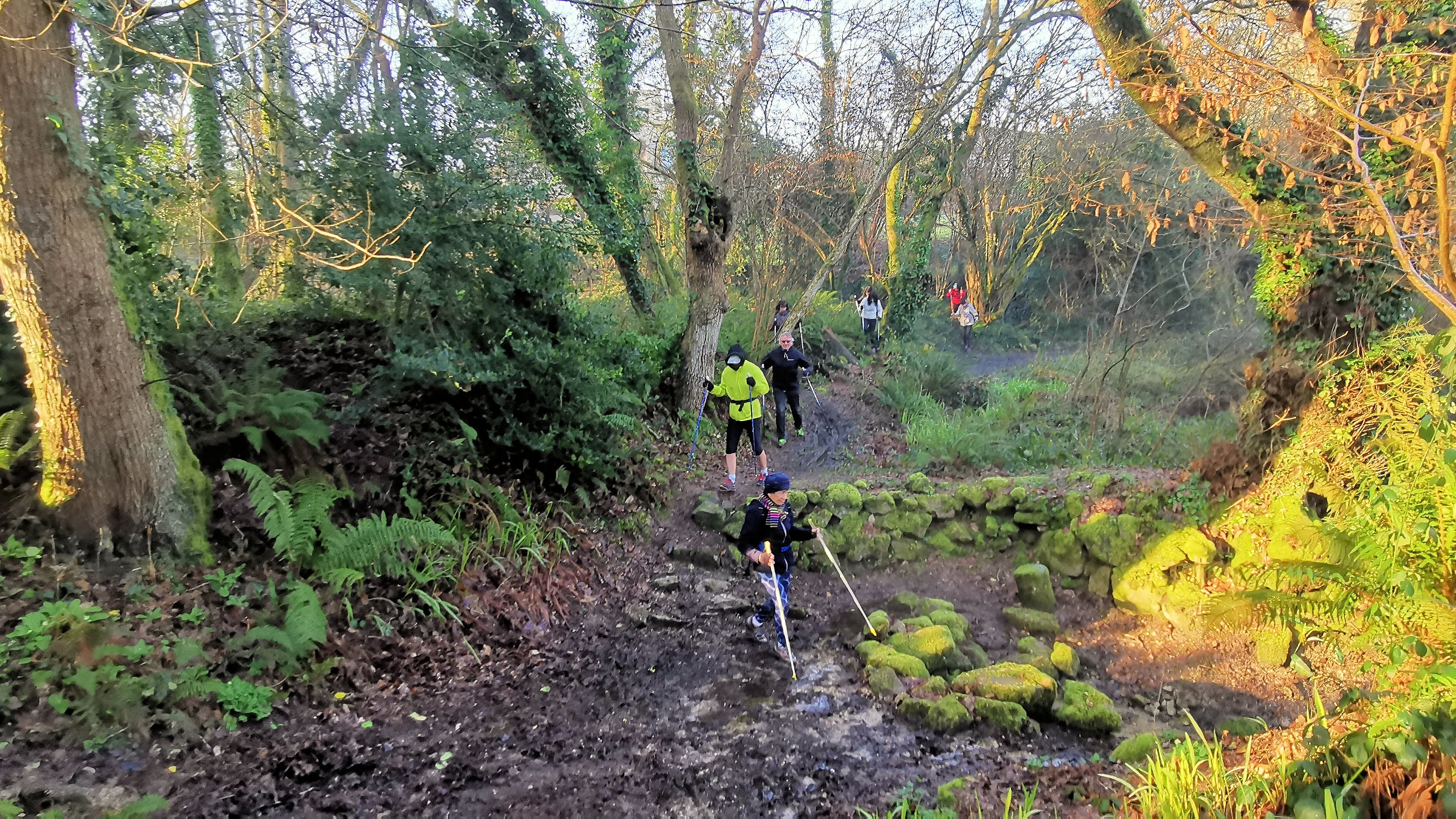 23-IMG_20210206_103353