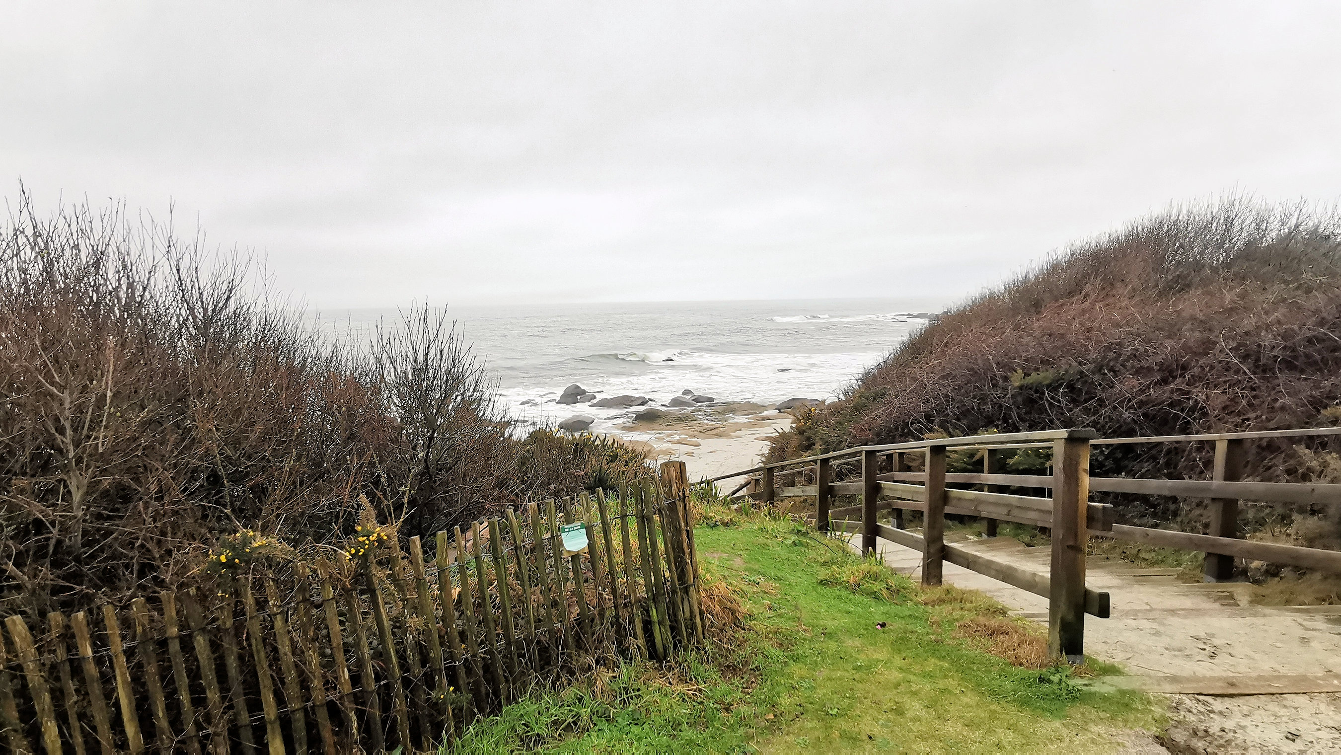 21-IMG_20210221_104448