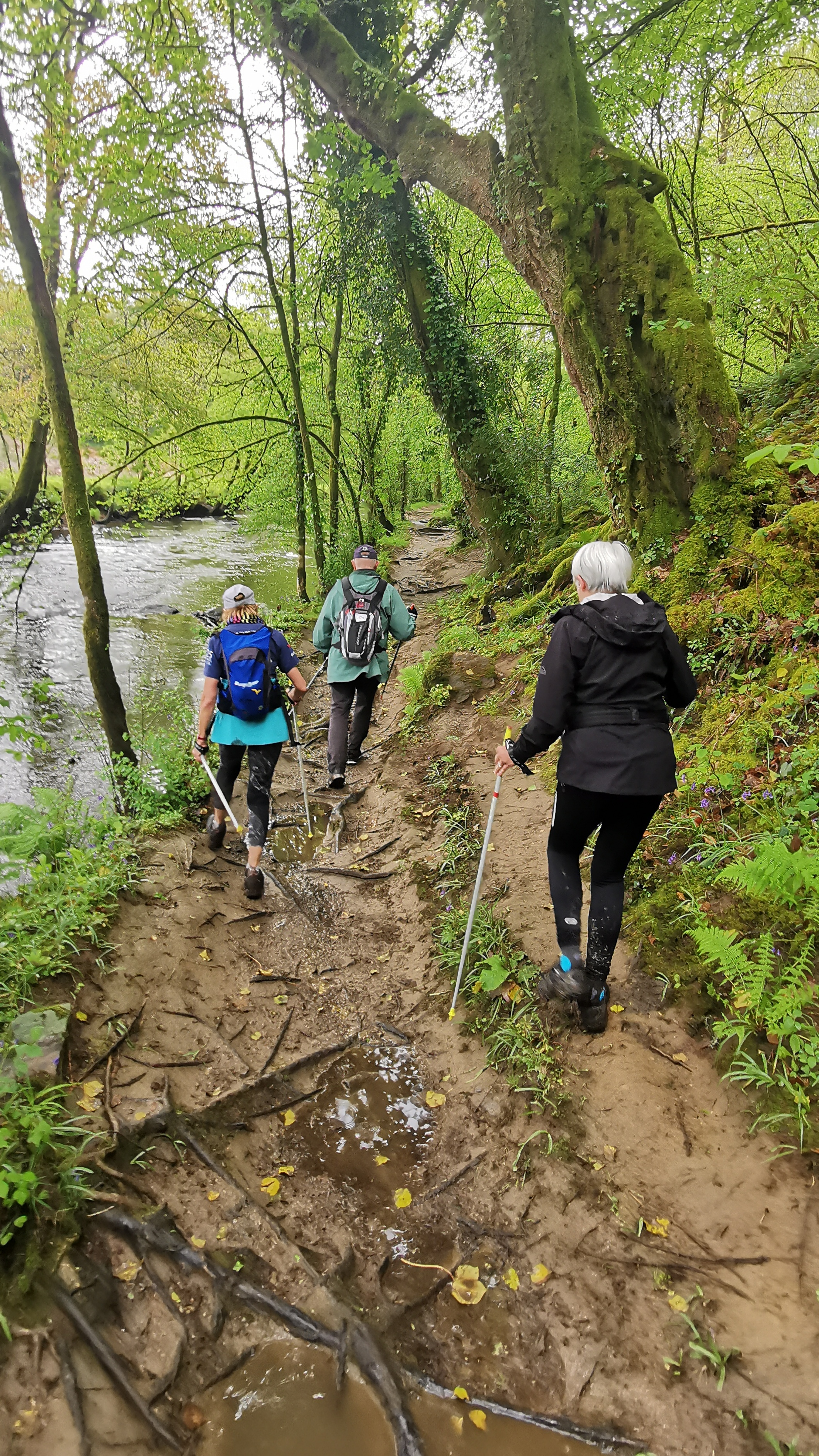 106-IMG_20210513_112100_1